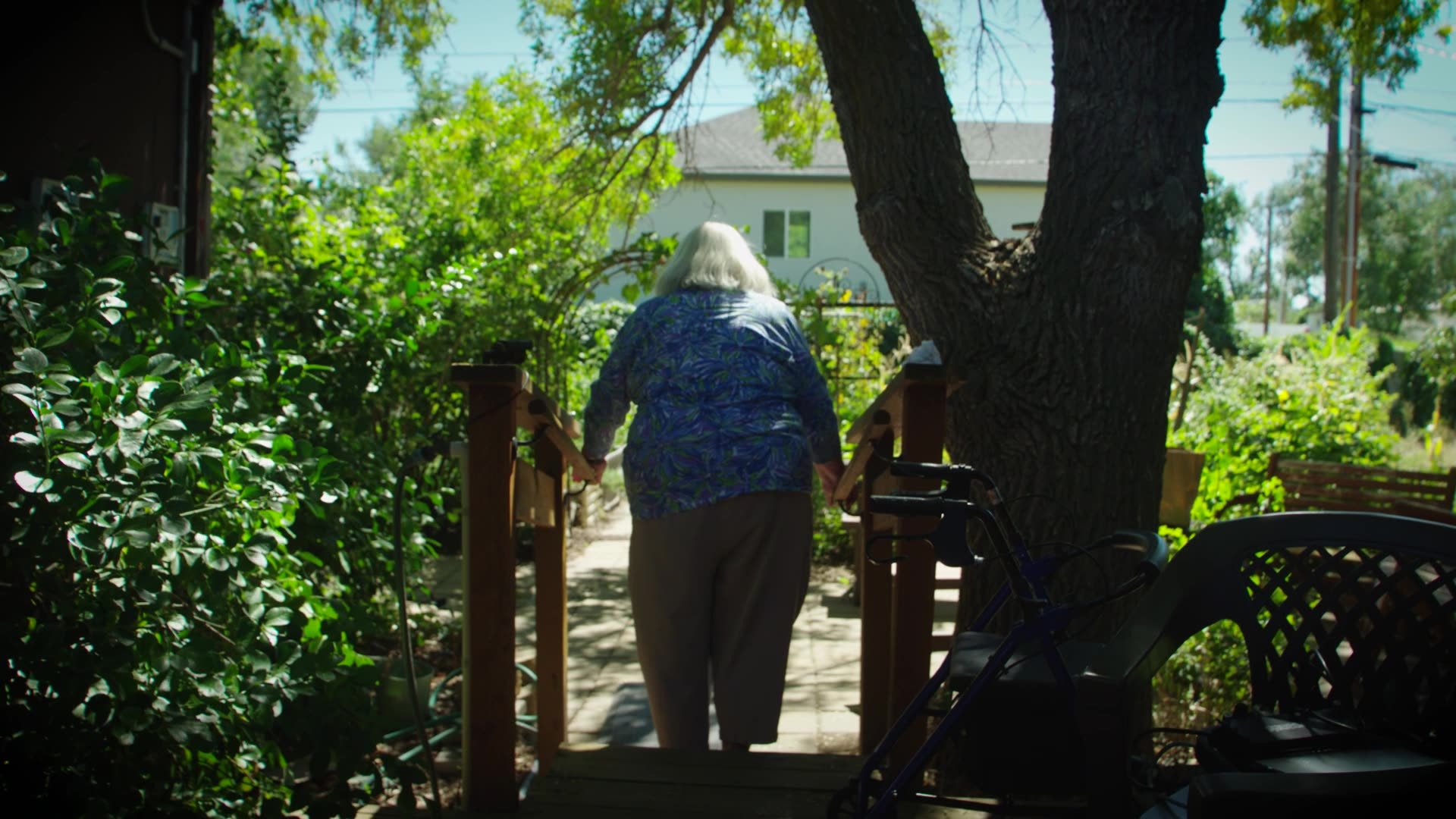 frame_2382.jpg