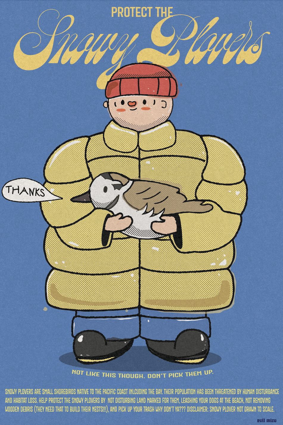 Protect the Snowy Plovers