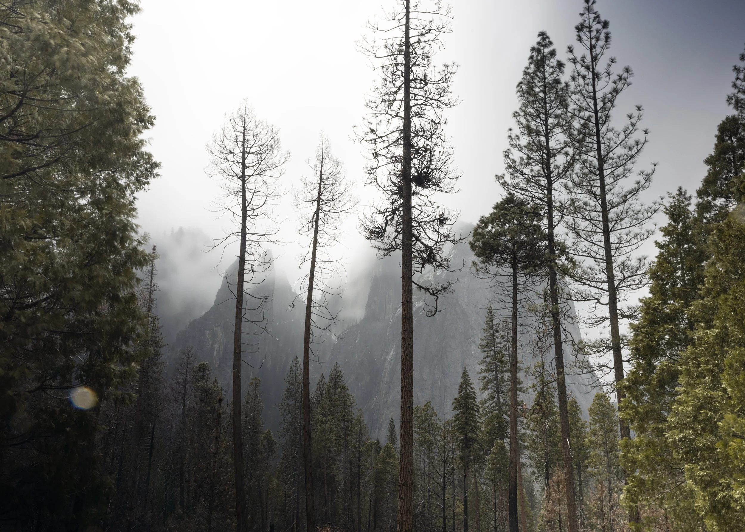 Yosemite-1233-Edit.JPG