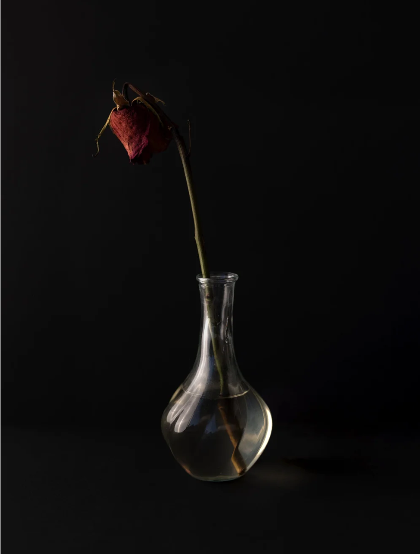 Screenshot 2025-08-10 at 7.38.12 am.png