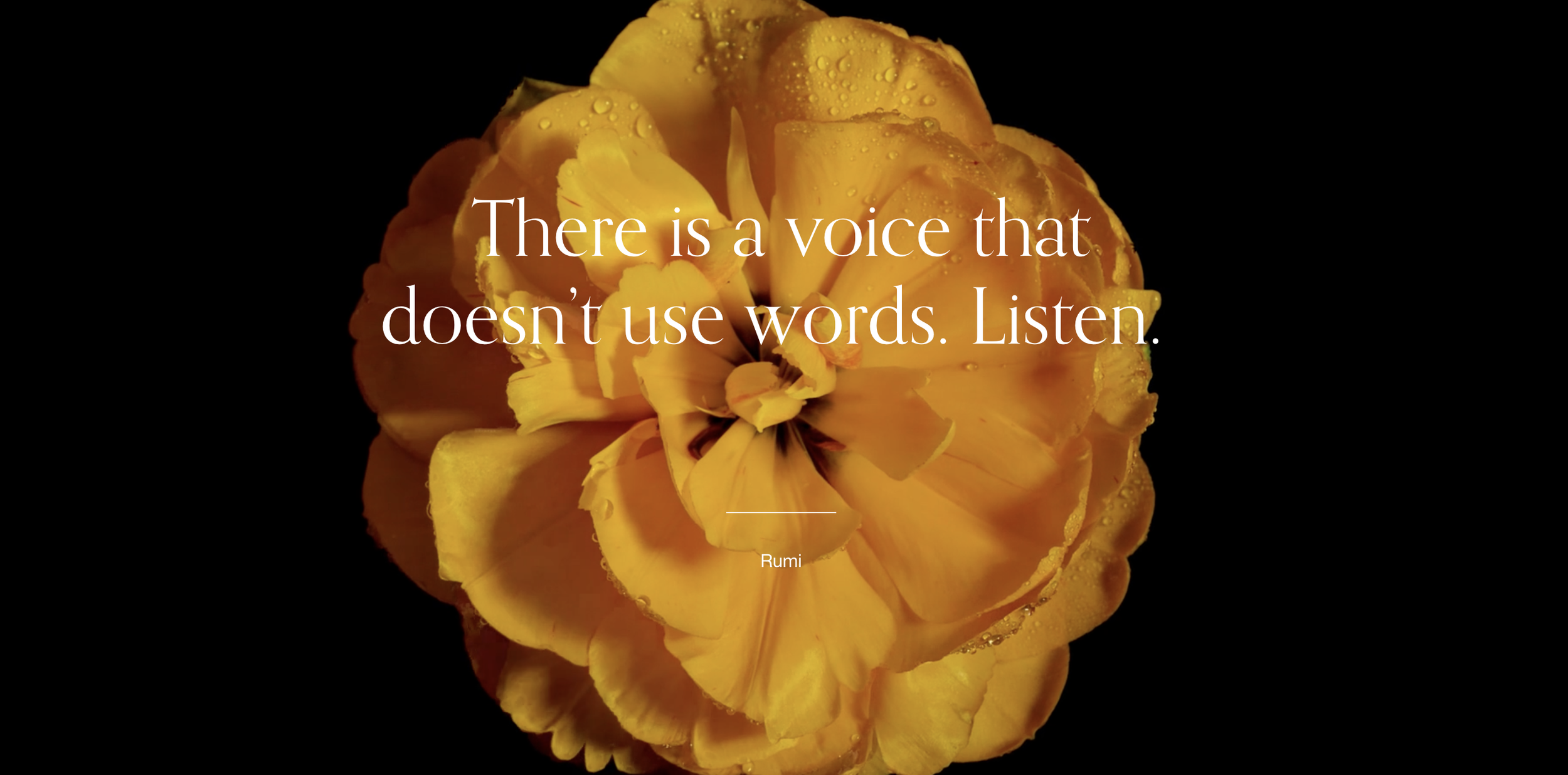 Bright yellow flower with water droplets and a black background, overlaid with a quote by Rumi that reads, 'There is a voice that doesn't use words. Listen. '.