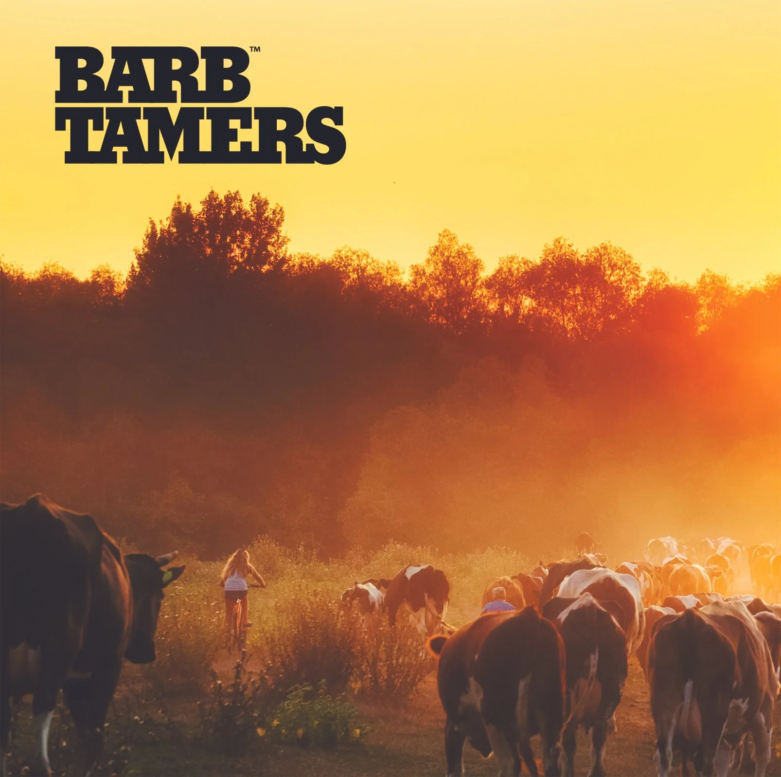 Cows walking along a dirt path in a rural area at sunset, with a girl riding a bicycle nearby and a silhouette of trees in the background.