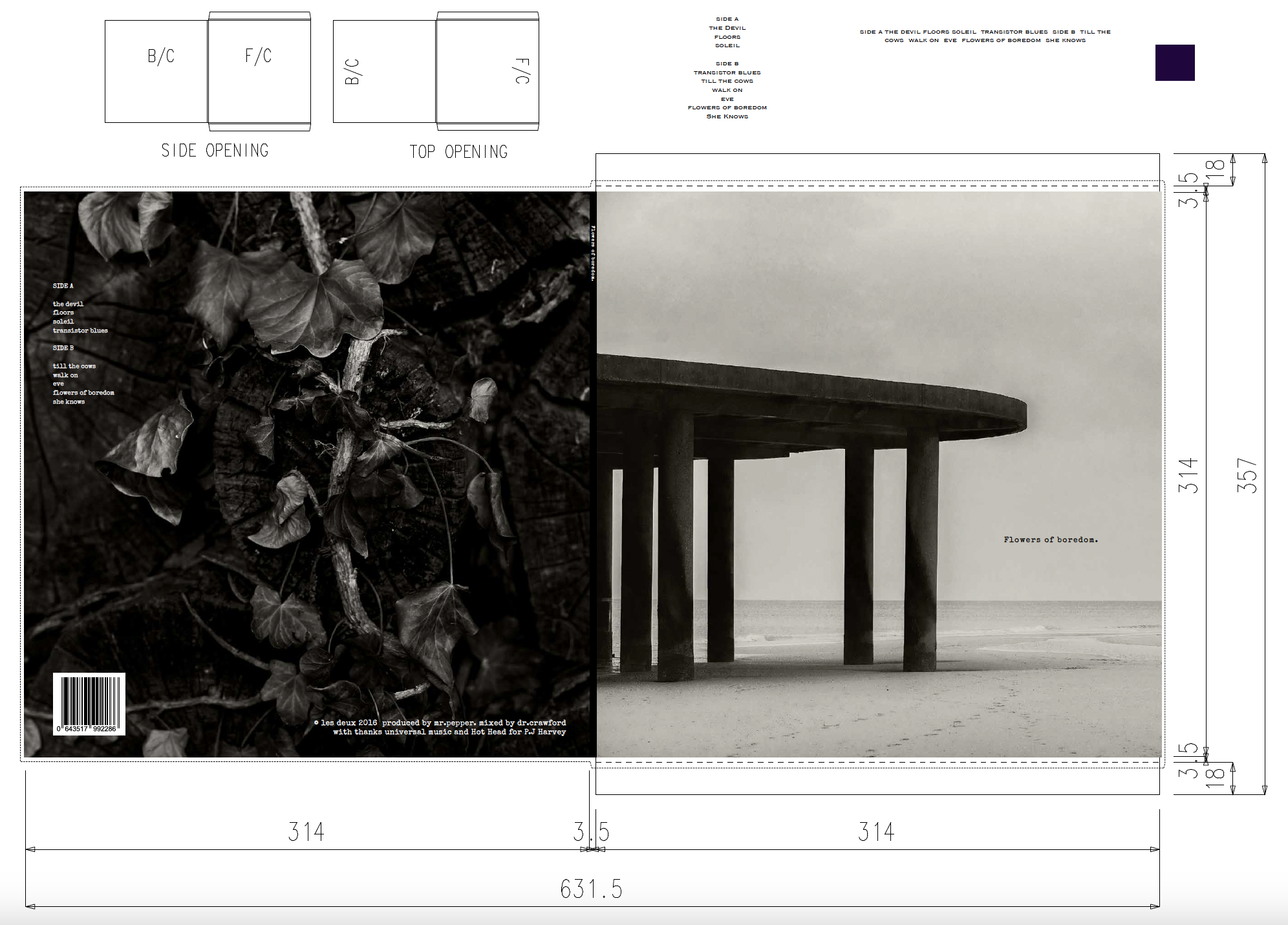 Black and white foto of a wooden pier extending into the water with a cloudy sky in the background. Text on the image reads, "Flowers of boredom."