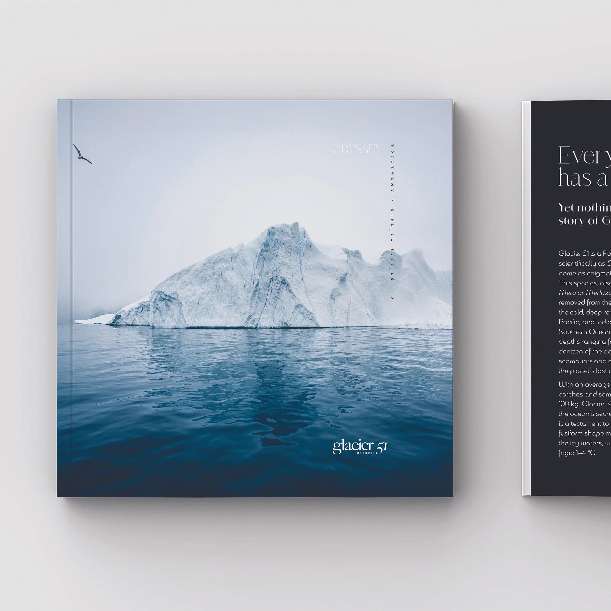 Photo of a large iceberg floating in the ocean with a single bird flying above.