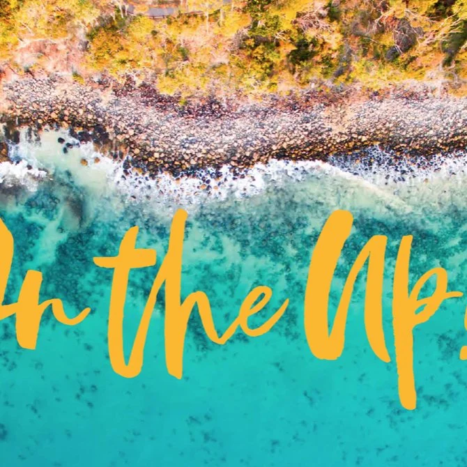 Aerial view of a rocky shoreline with trees and water, with yellow text overlay that says 'on the Up'.