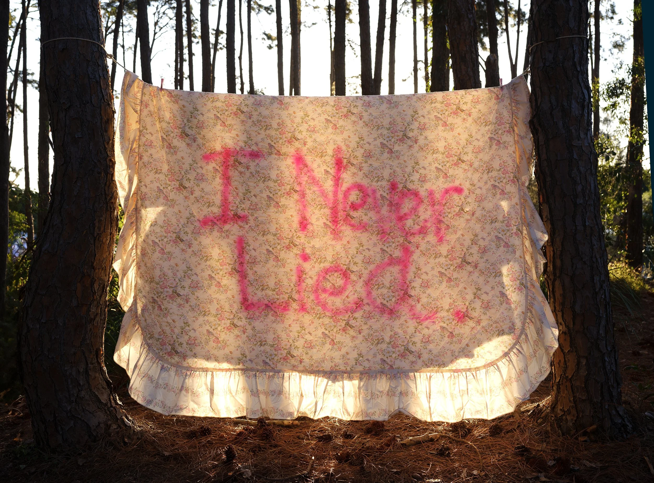 A fabric with a floral pattern hanging between two trees in a forest, with pink spray-painted text that says 'I never lied'.