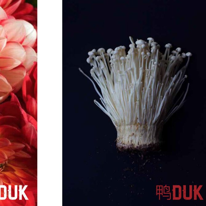 Close-up of a cluster of enoki mushrooms against a black background with red text in the lower right corner.