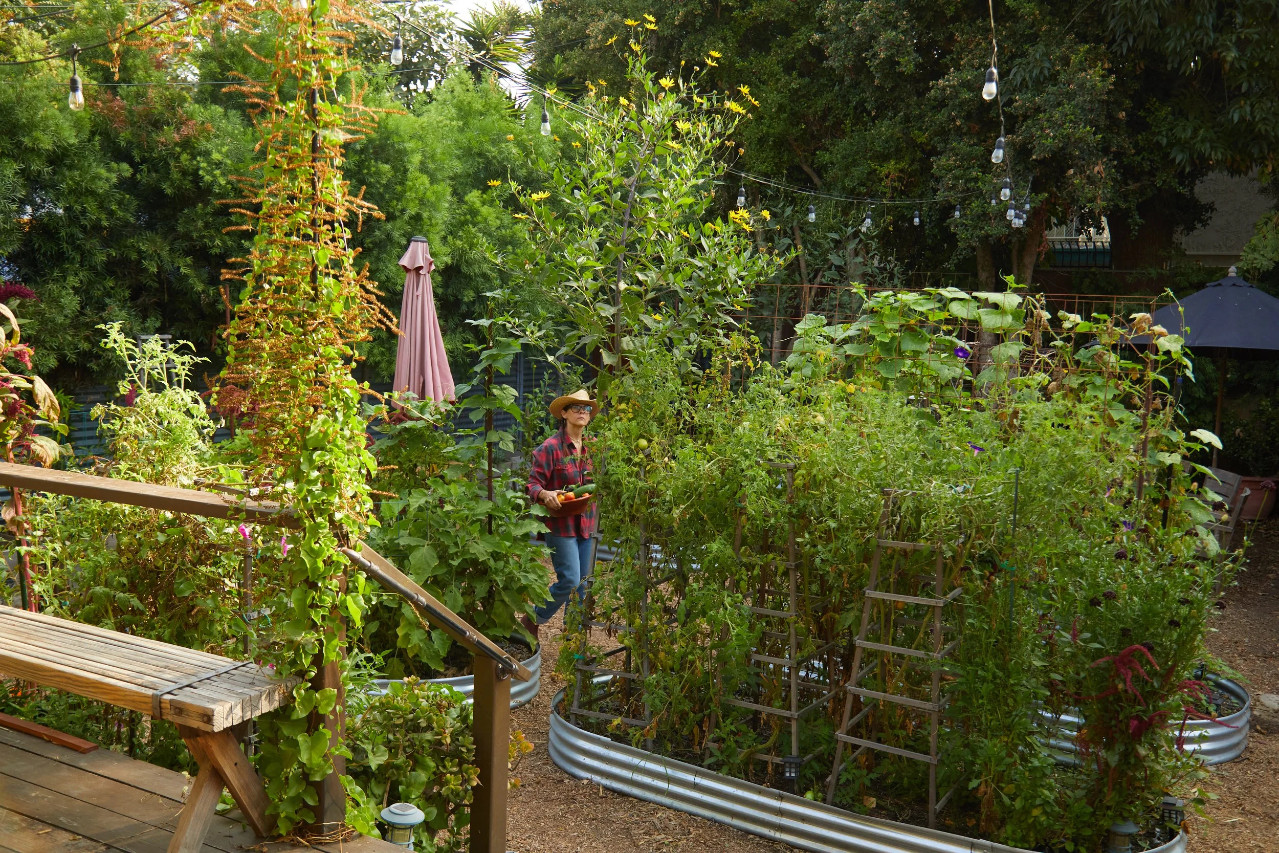 Garden Day 2.jpg