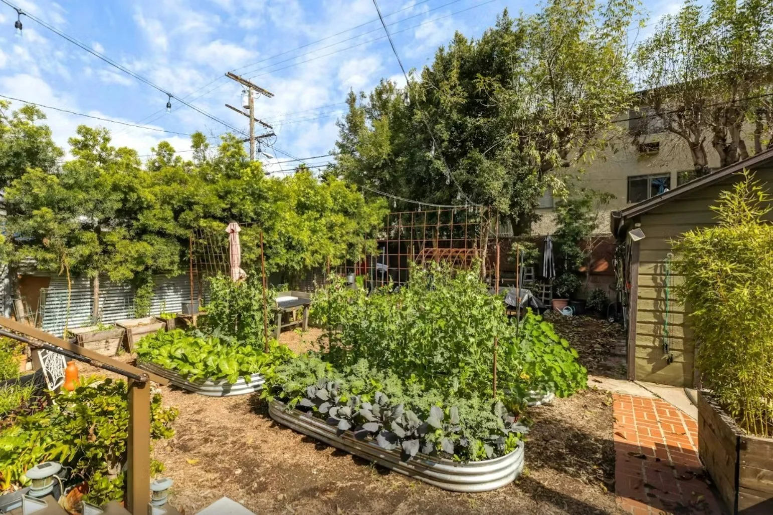 Garden+Day.jpg