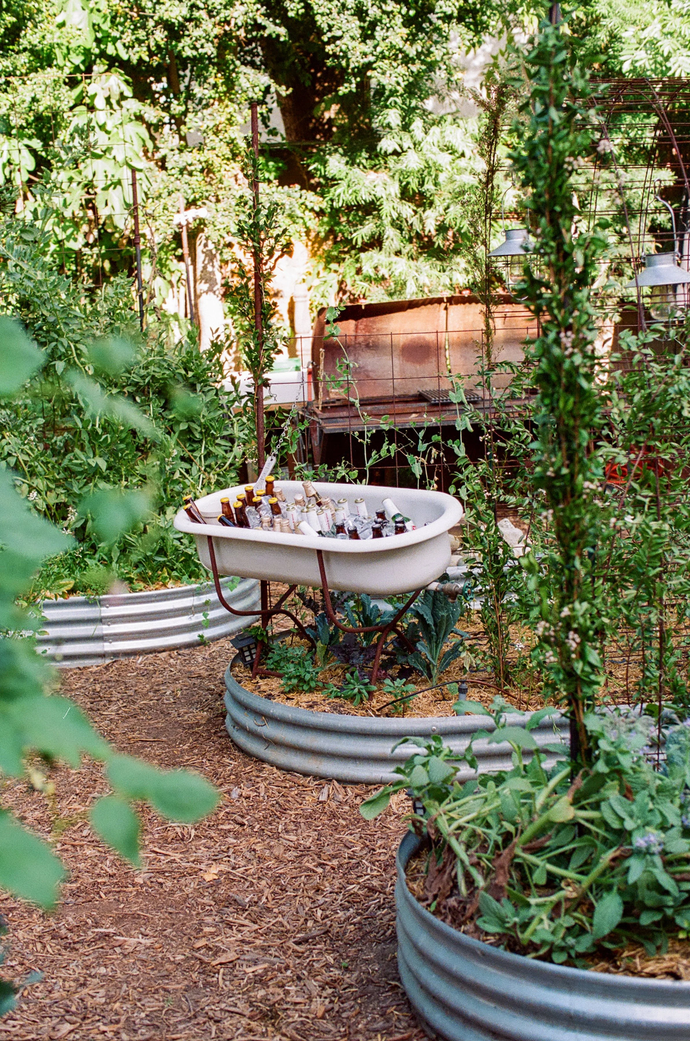 Beer in Garden.jpg