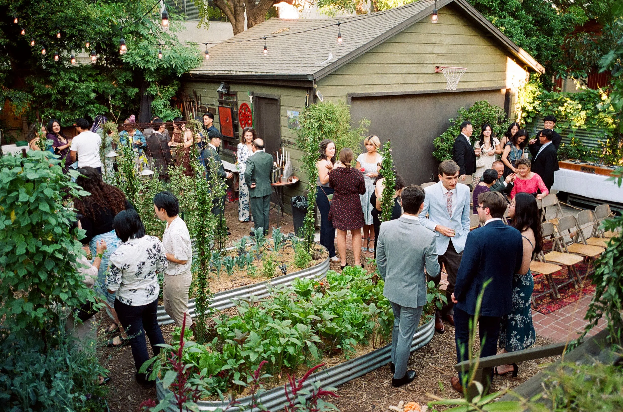 Garden.jpg