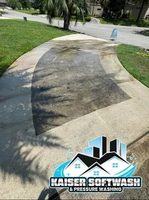Driveway surface cleaning in Mandeville.