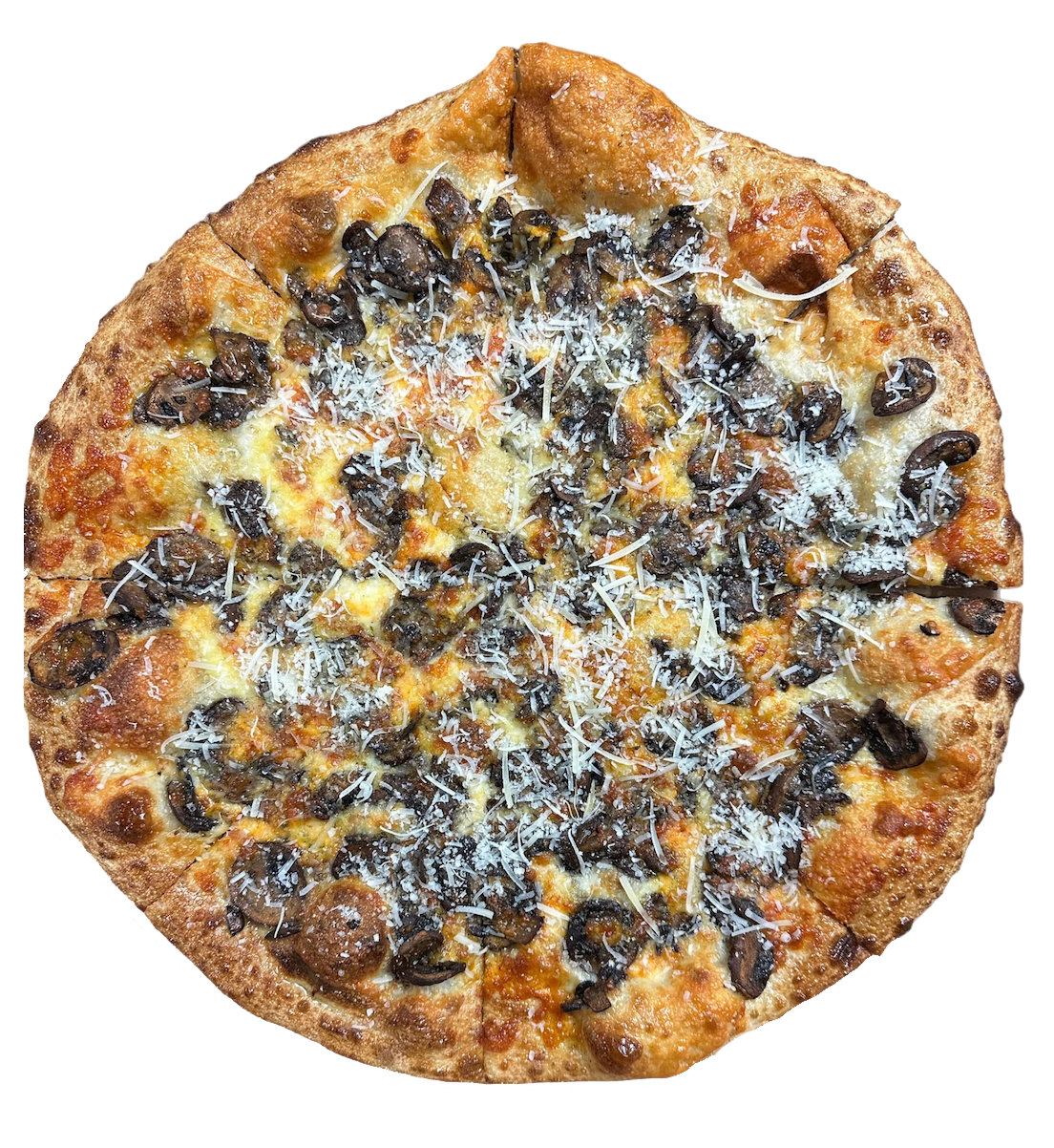 Fun Guy New York Style Pizza