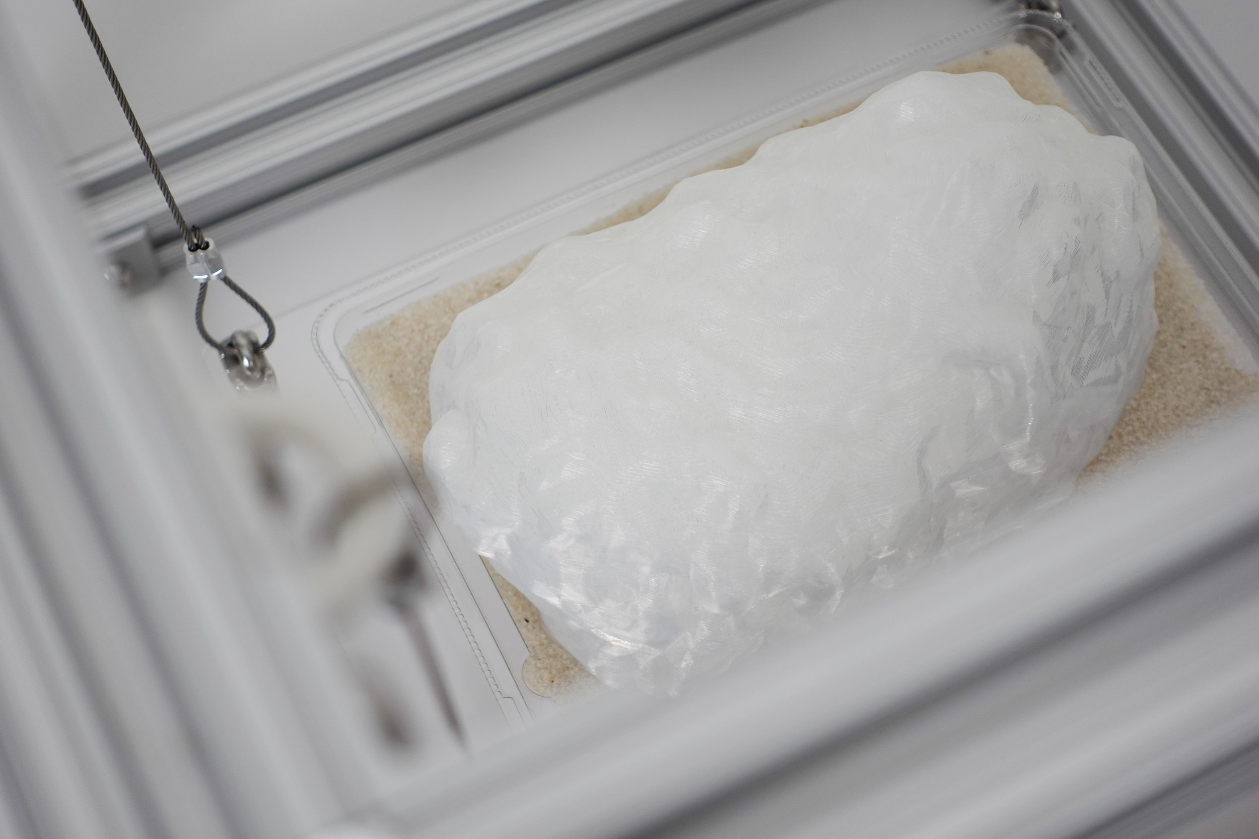 Bollomorpha Titanis, 2025. 3D printed polylactic acid, recycled polyethylene terephthalate, aluminum extrusion, steel cable, acrylic, sand, 12 x 12 x 12 in.