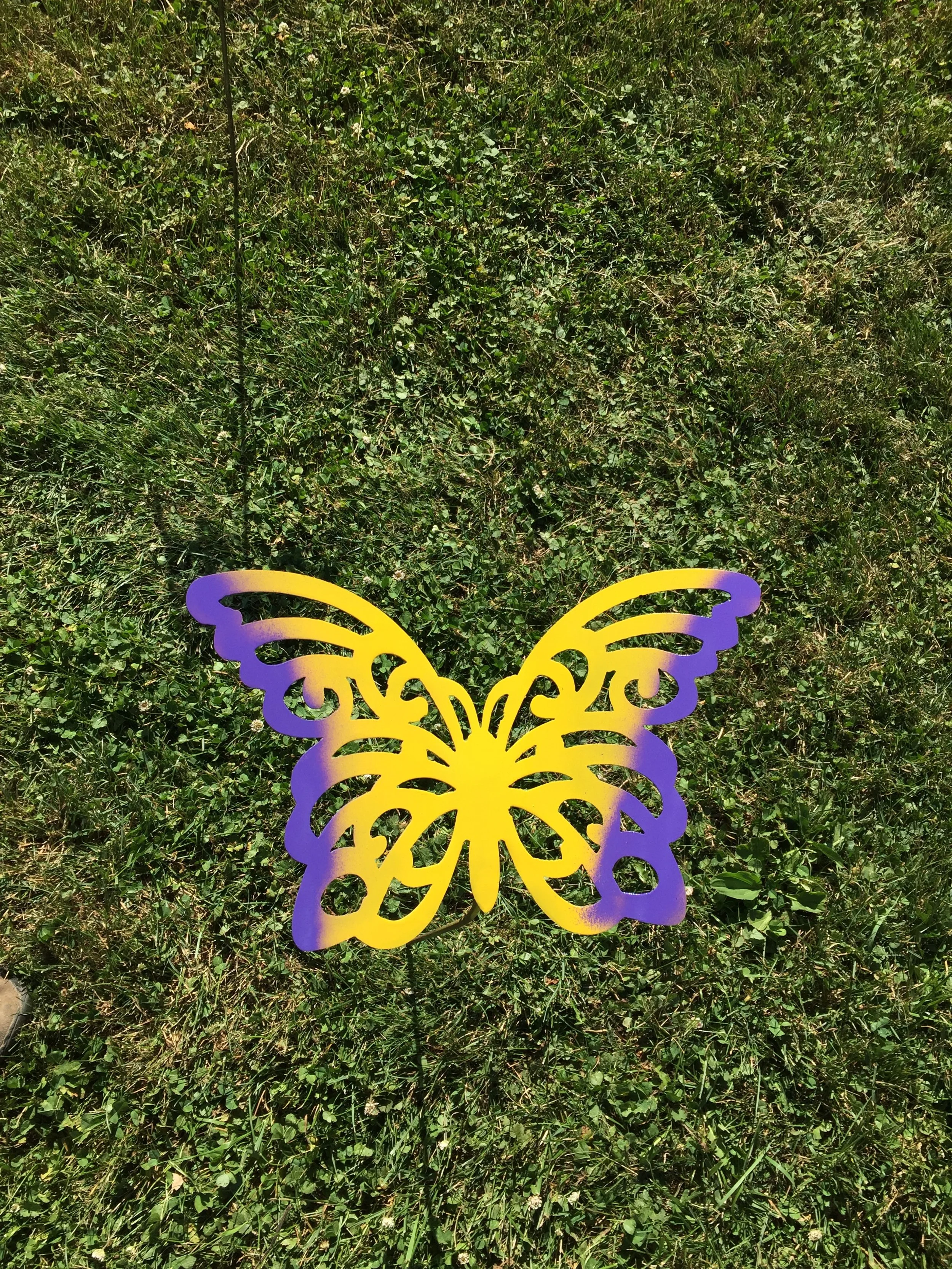                             BUTTERFLY