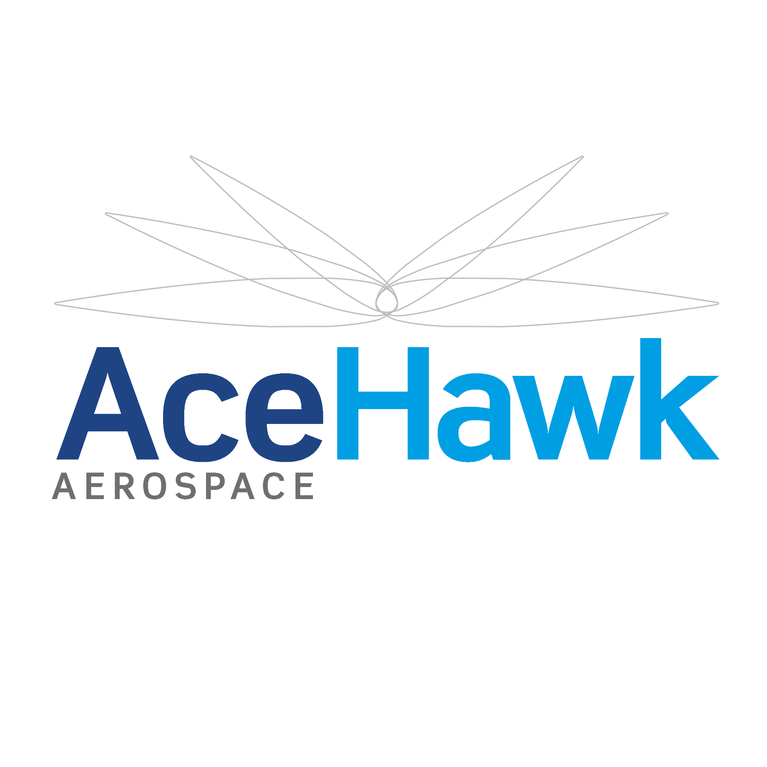 AceHawk Aerospace 