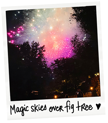 Colorful fireworks in the night sky over trees with a handwritten caption 'Magic skies over fig tree' and a small heart.