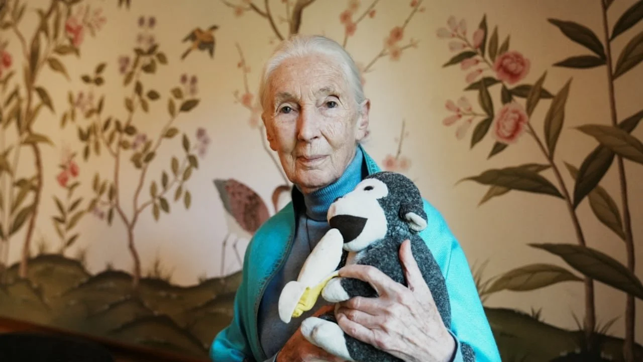 jane-goodall-491199236.JPG