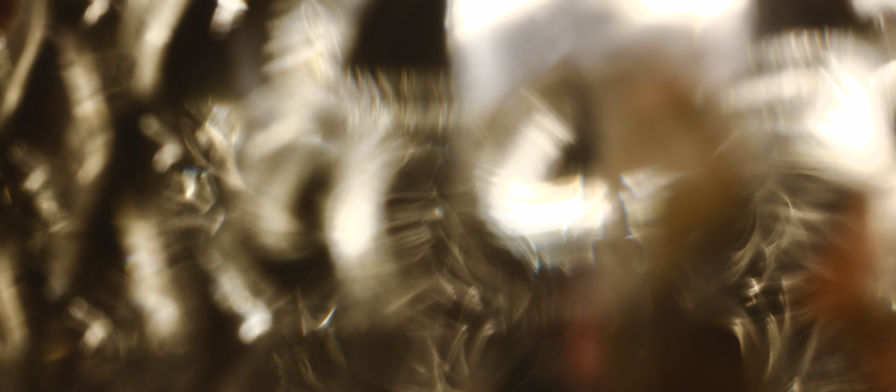 DSCF1252.png