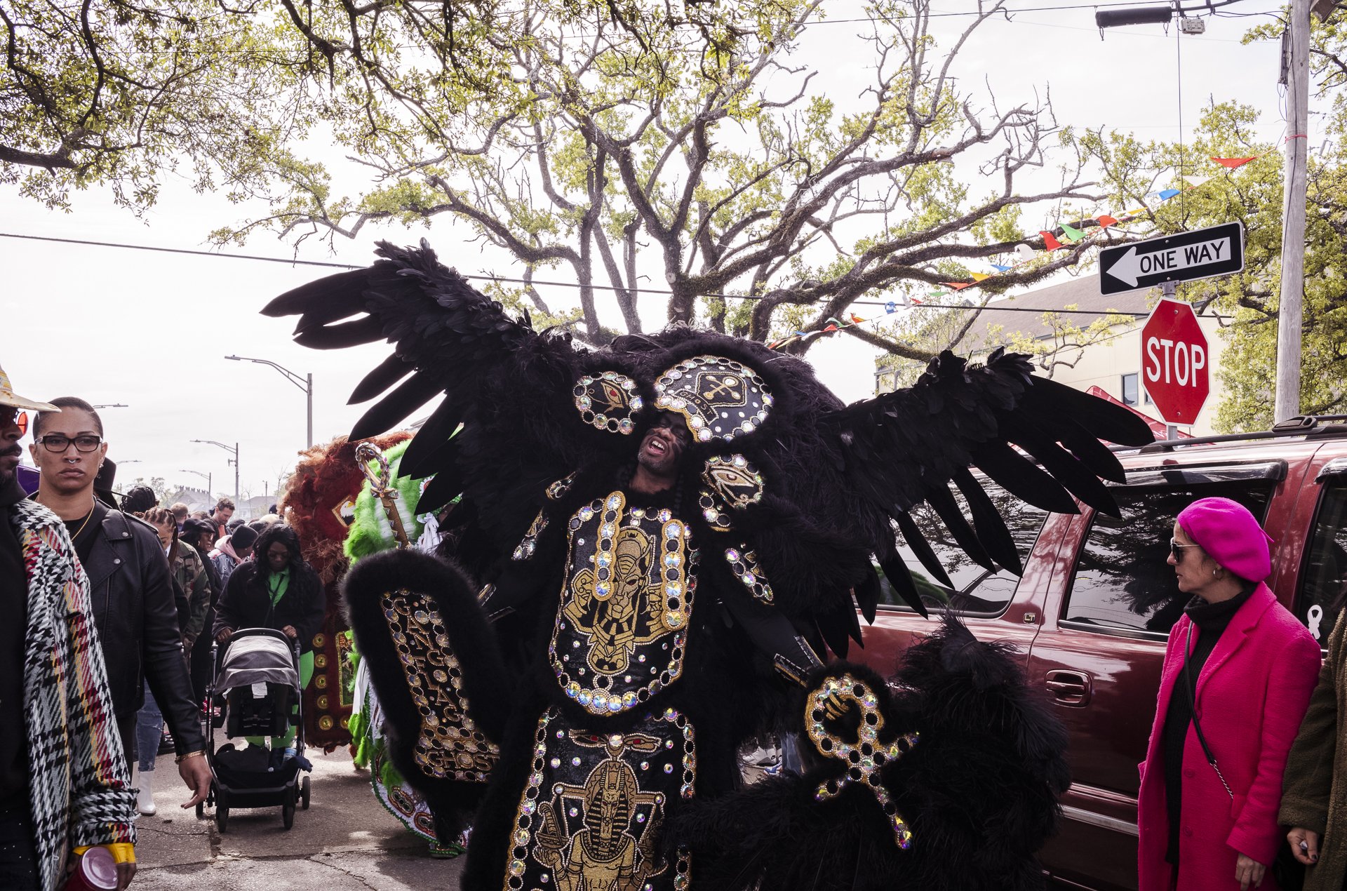 Mardi Gras Indians_08.jpg