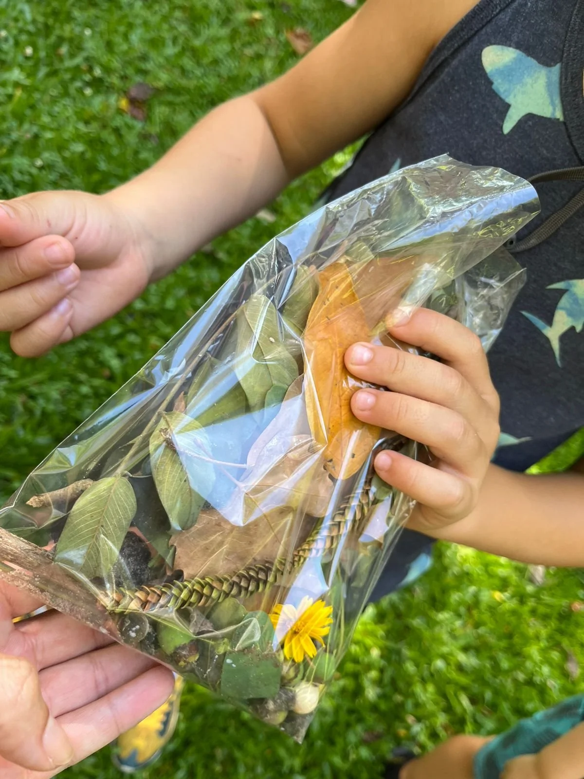 PHOTO-2024-01-18-21-40-46 2.jpg