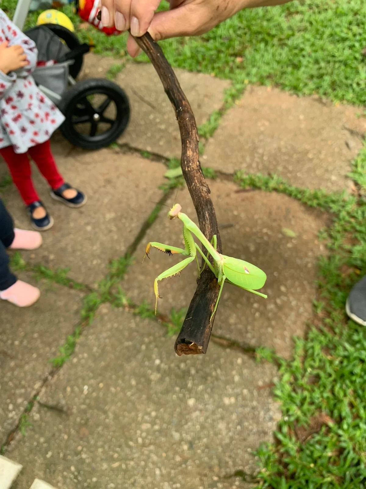 PHOTO-2024-01-24-17-18-30 11.jpg