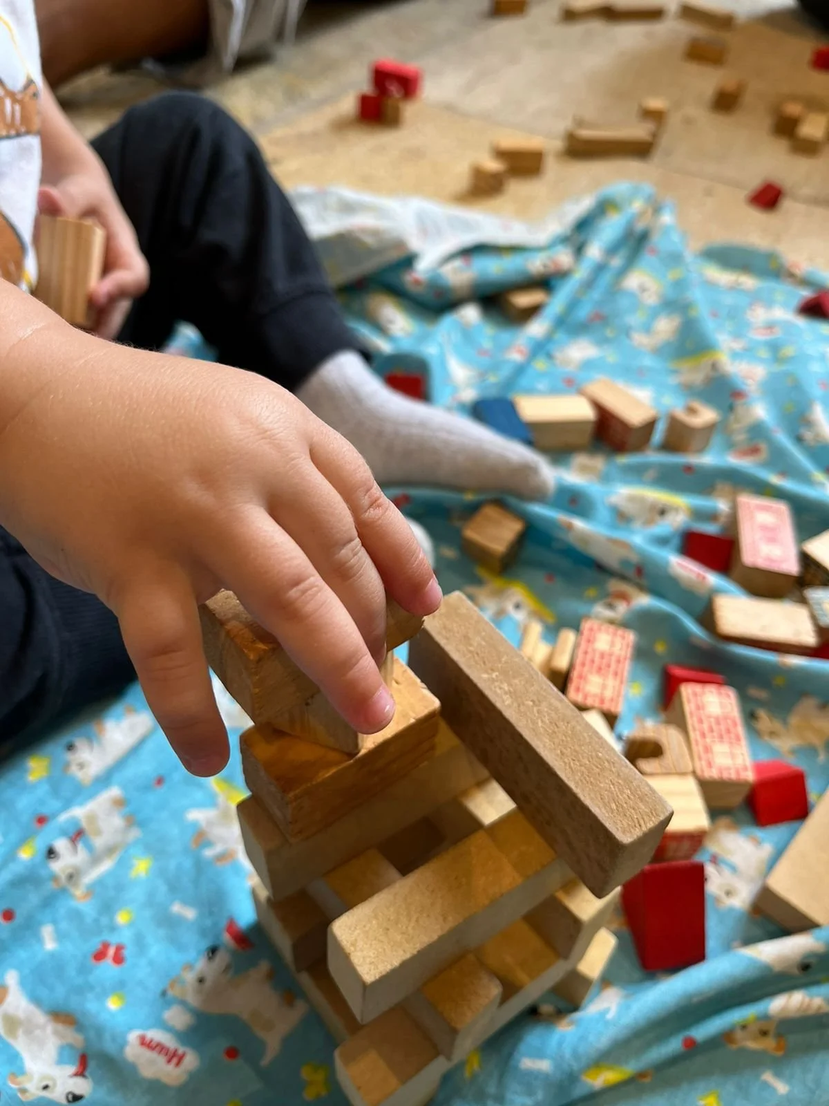 PHOTO-2024-01-22-21-02-34 4.jpg