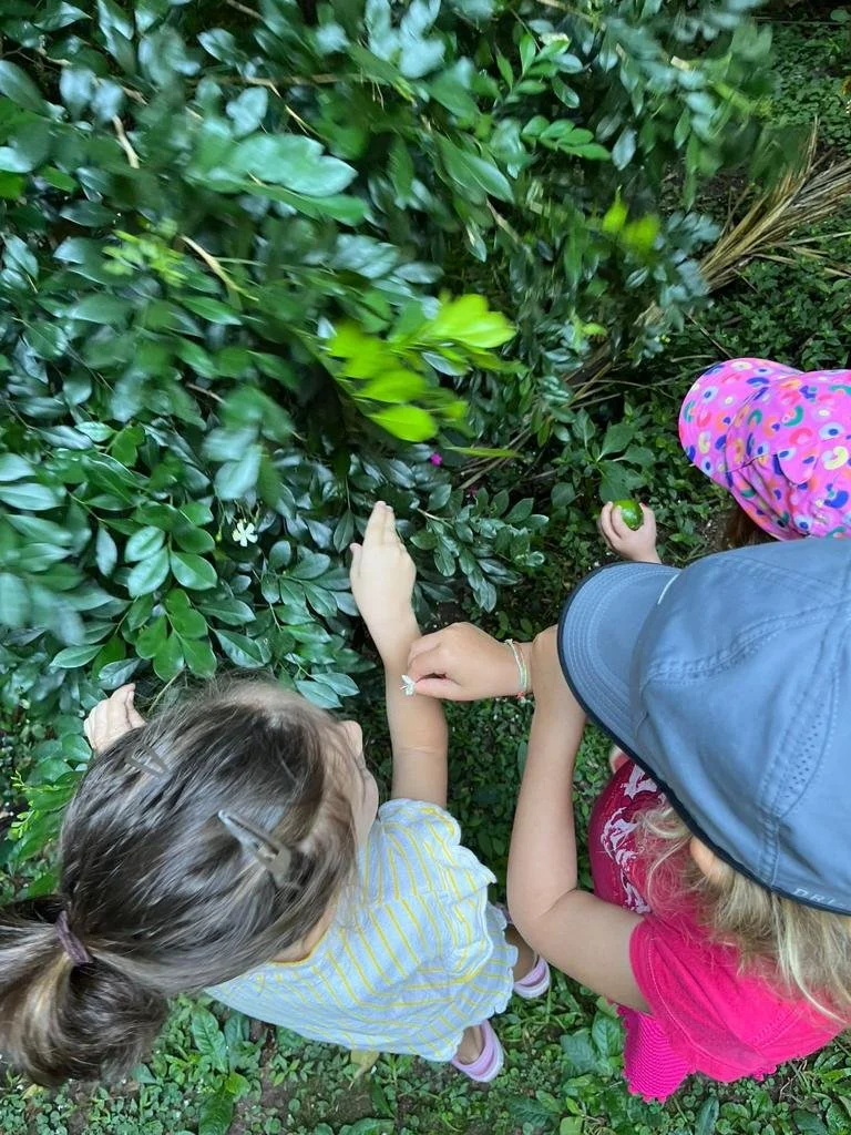 PHOTO-2024-01-29-16-05-01 3.jpg