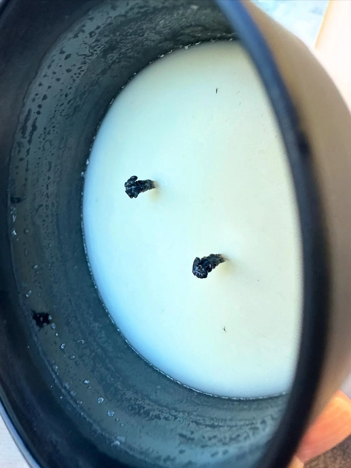 If you&rsquo;ve visited me at a market recently, you&rsquo;ve definitely heard me ask &ldquo;are you trimming your wicks?&rdquo; Here&rsquo;s what it looks like before you do!

Trimming wicks helps keep the flame smaller, which is an essential compon