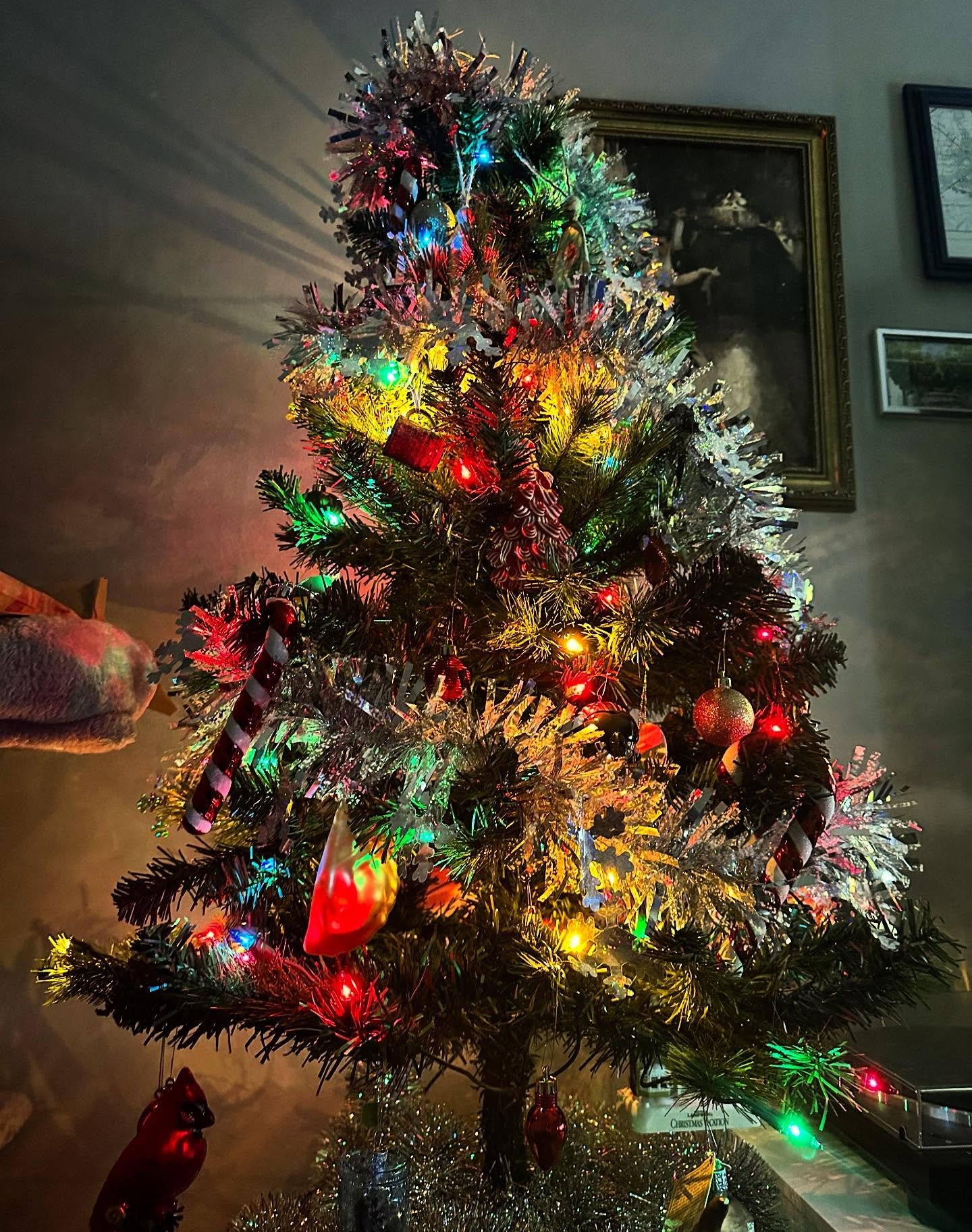 This week hasn&rsquo;t gone as planned, but at least the tree is up. It&rsquo;s a a beaut, Clark!

All I Want is wafting in the background from my wax melter. Happy holidays, y&rsquo;all! 🎄✨

#speckledmoon #speckledmooncandles #christmas #christmast