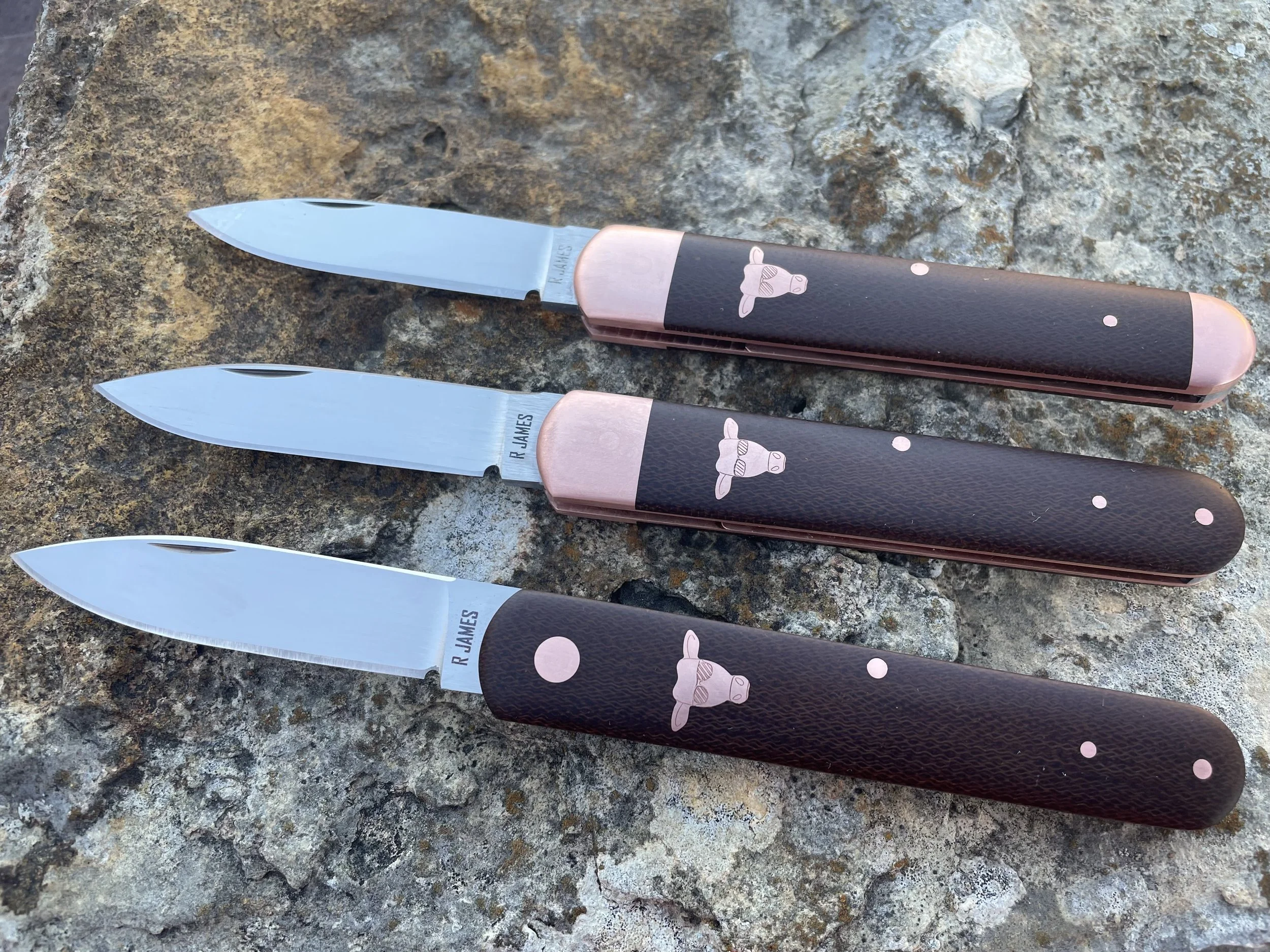 Photo Feb 06 2026, 5 29 37 PM.jpg