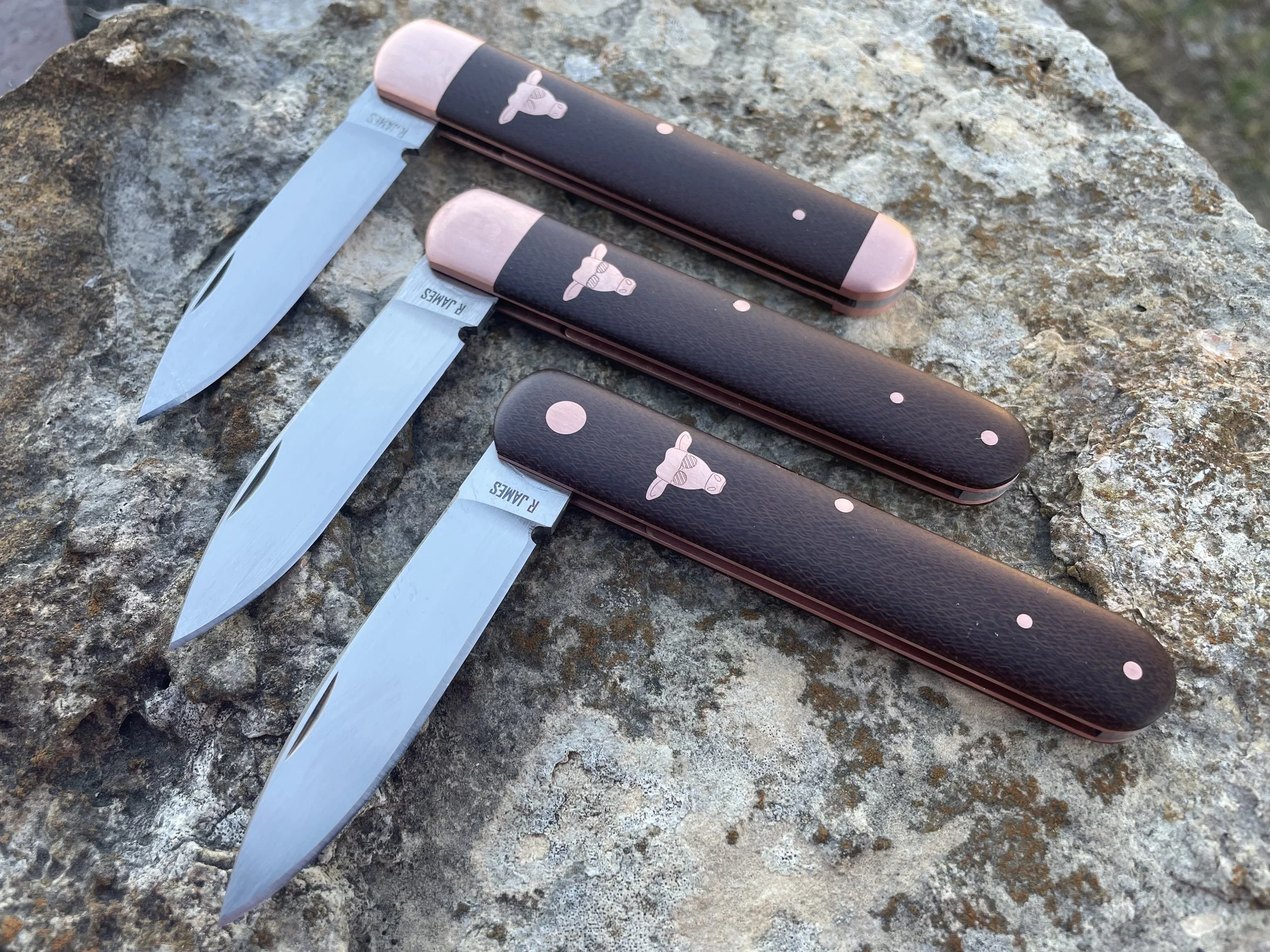 Photo Feb 06 2026, 5 31 23 PM.jpg