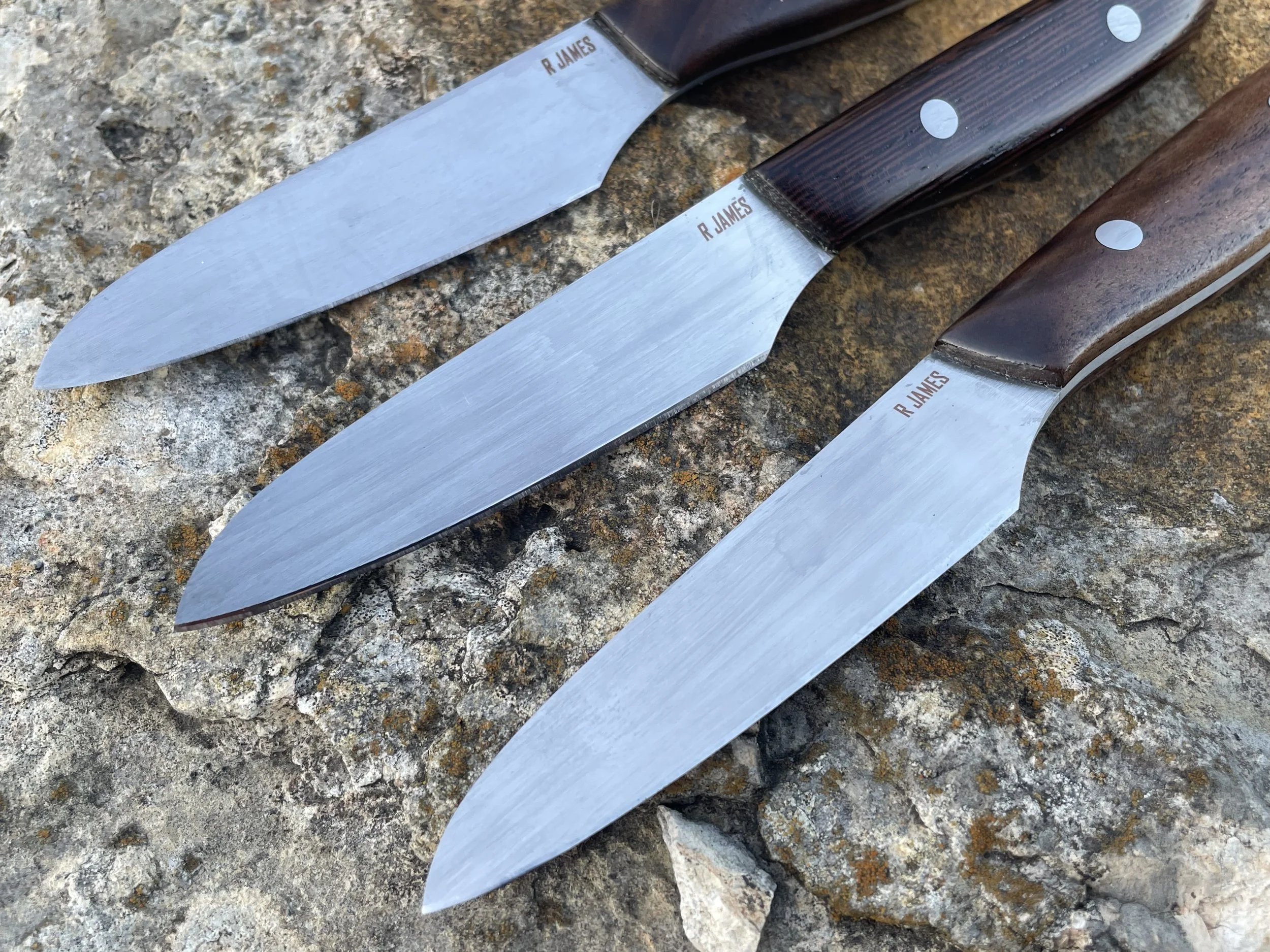 Photo Dec 24 2025, 5 13 36 PM.jpg