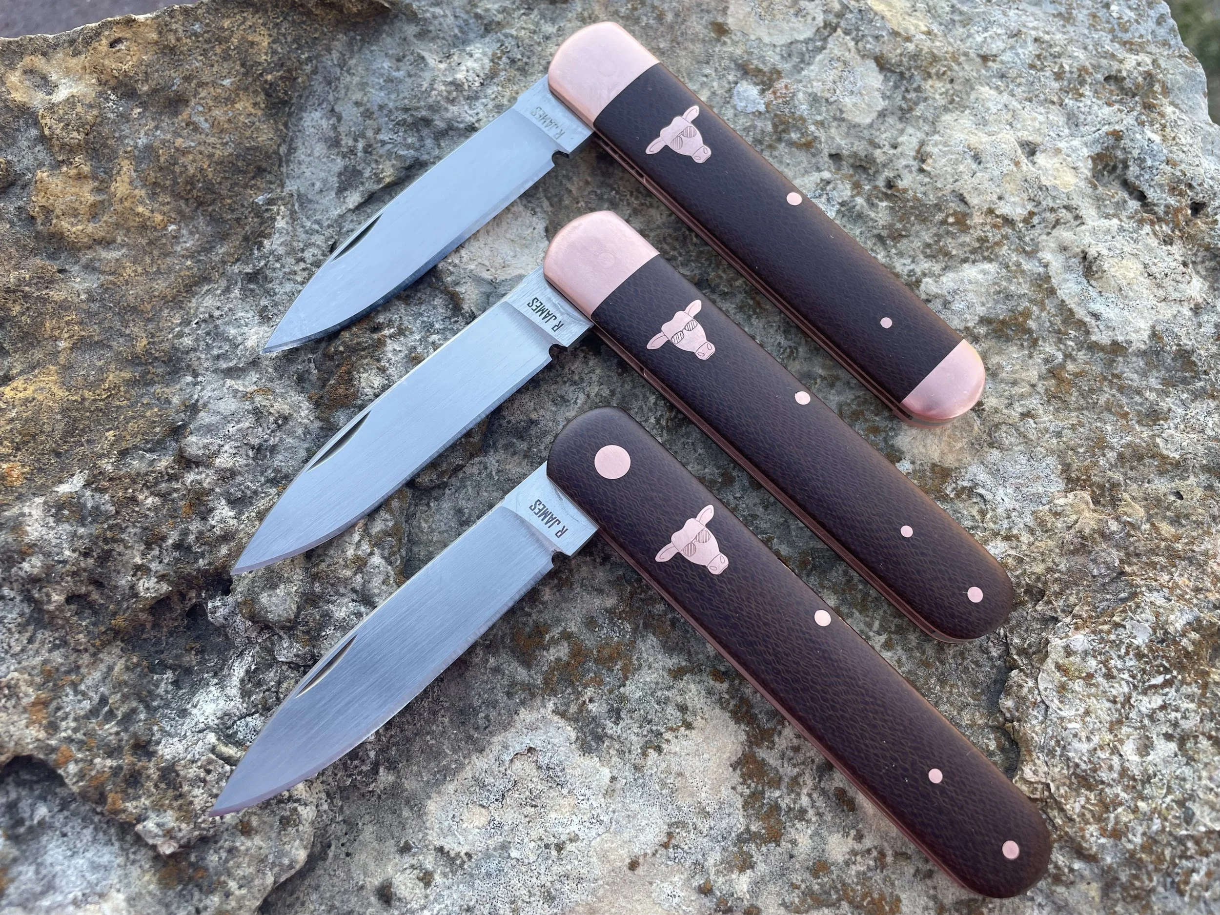 Photo Feb 06 2026, 5 31 19 PM.jpg