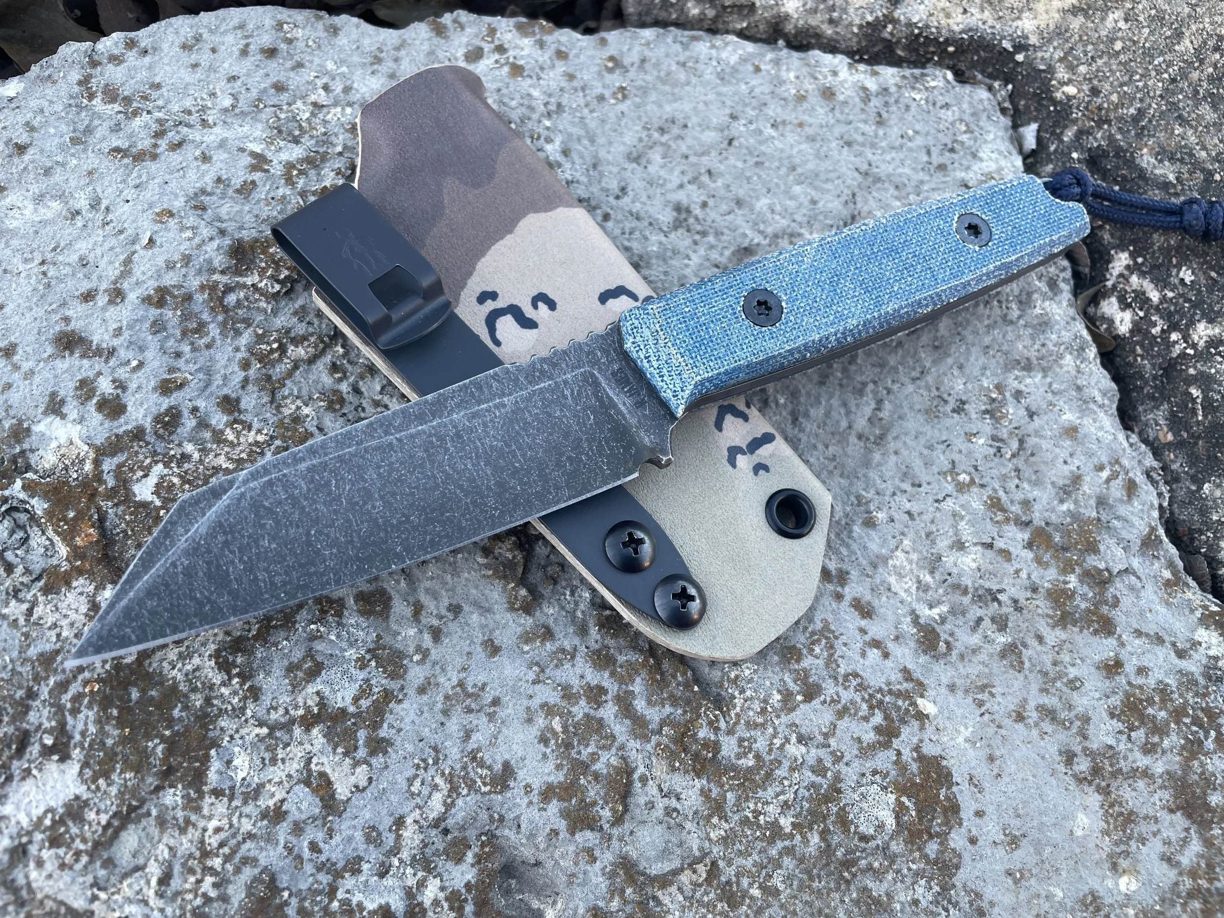 Photo Feb 06 2026, 5 36 45 PM.jpg