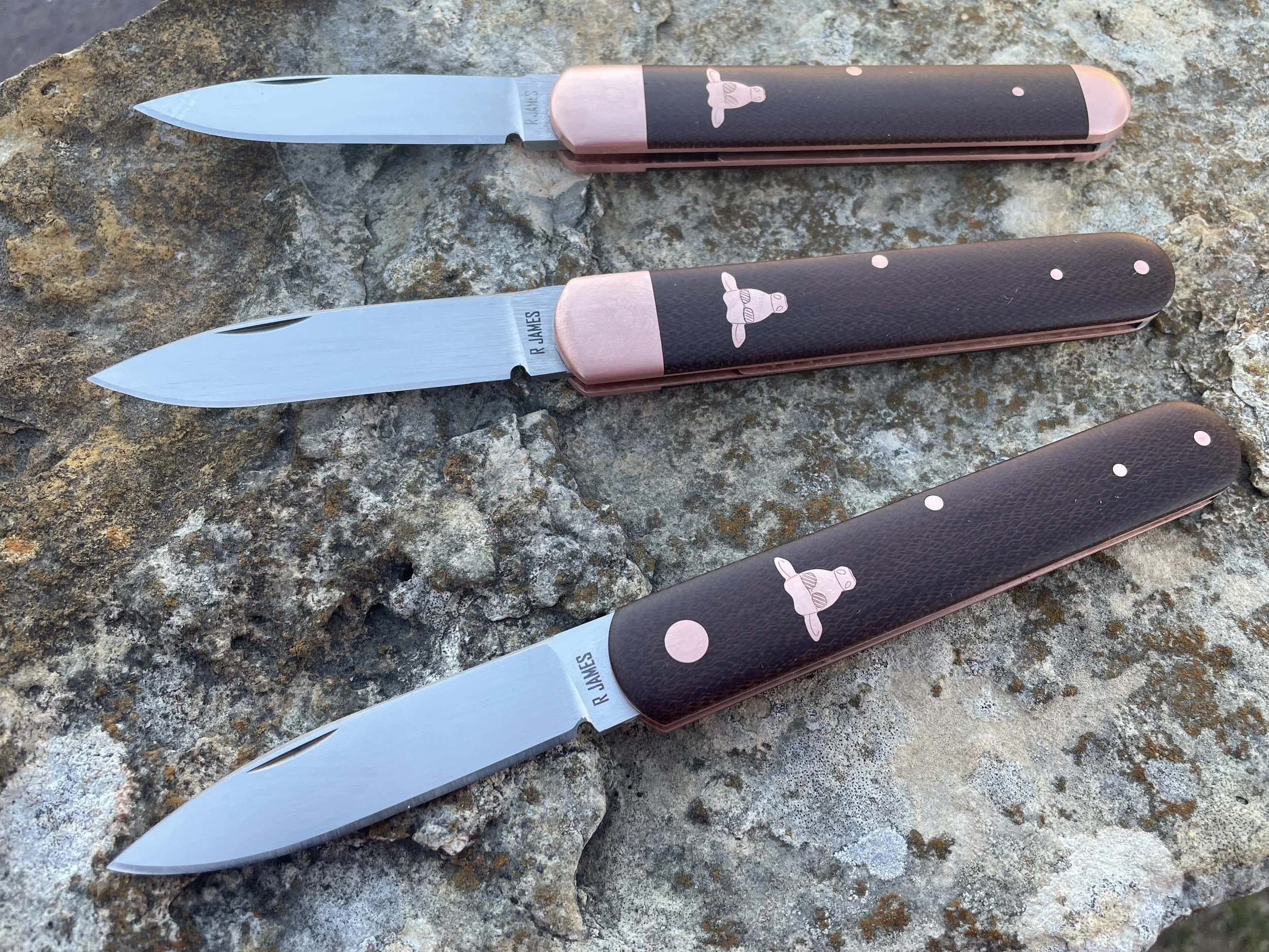 Photo Feb 06 2026, 5 30 20 PM.jpg