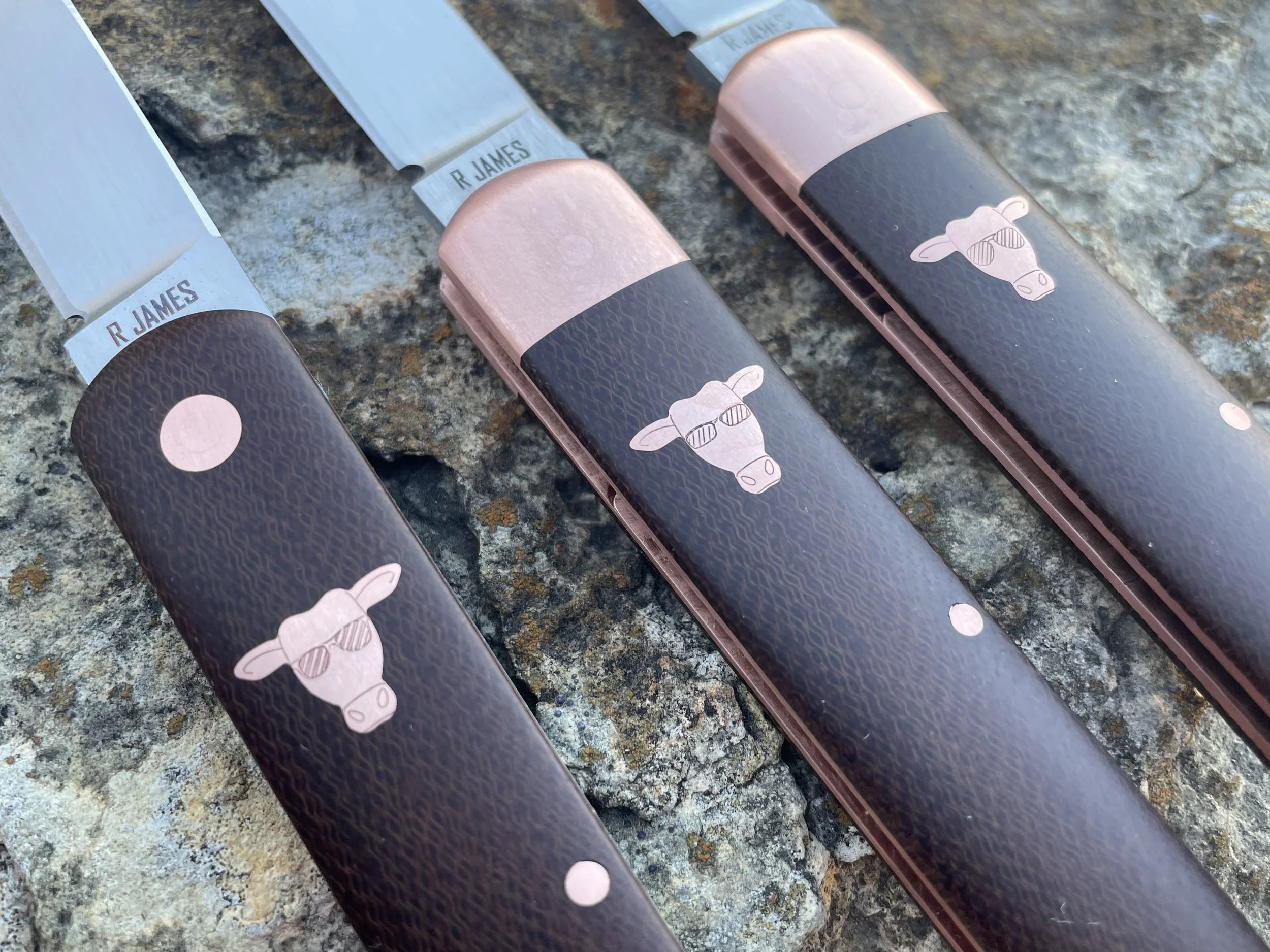 Photo Feb 06 2026, 5 30 03 PM.jpg