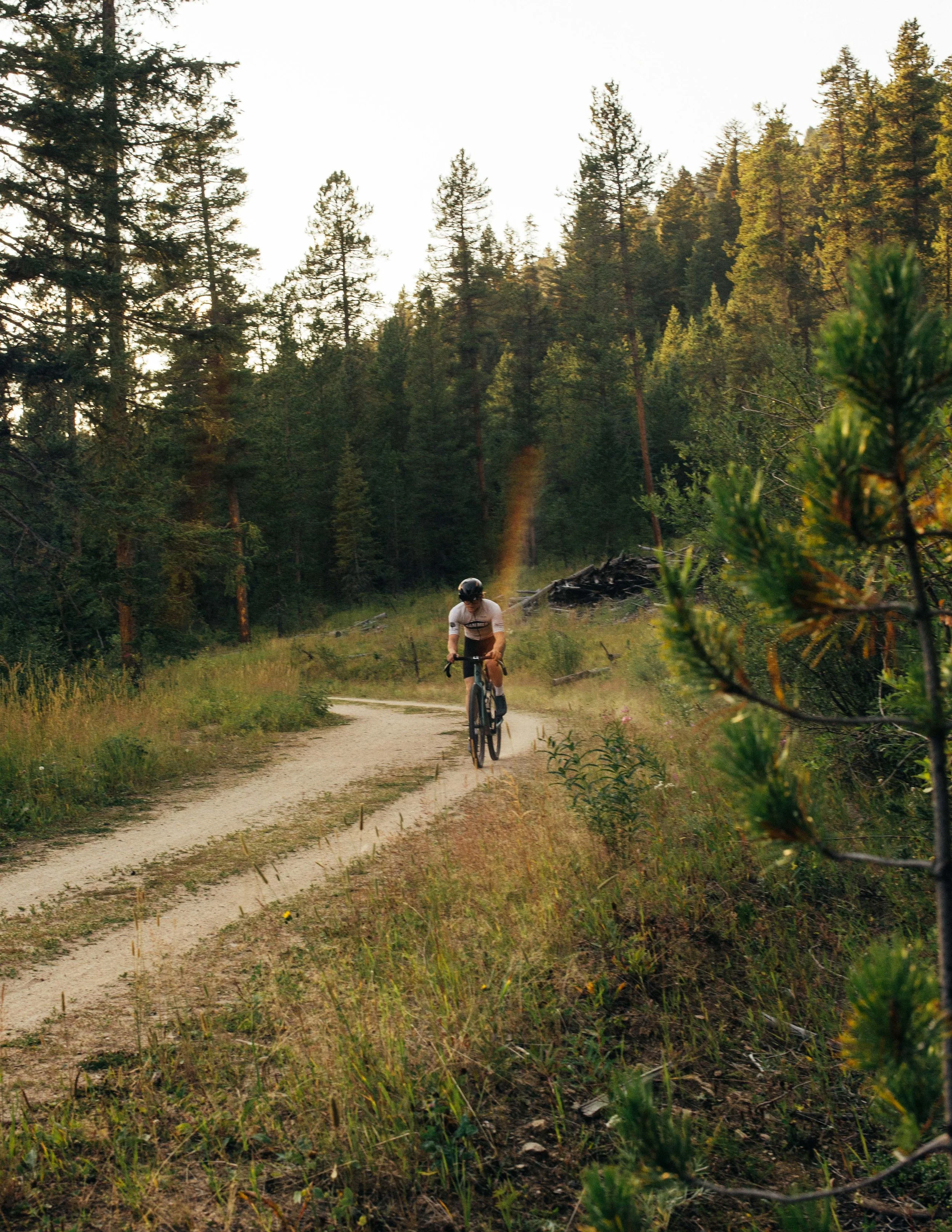 Hammer Nutrition Summer 2025