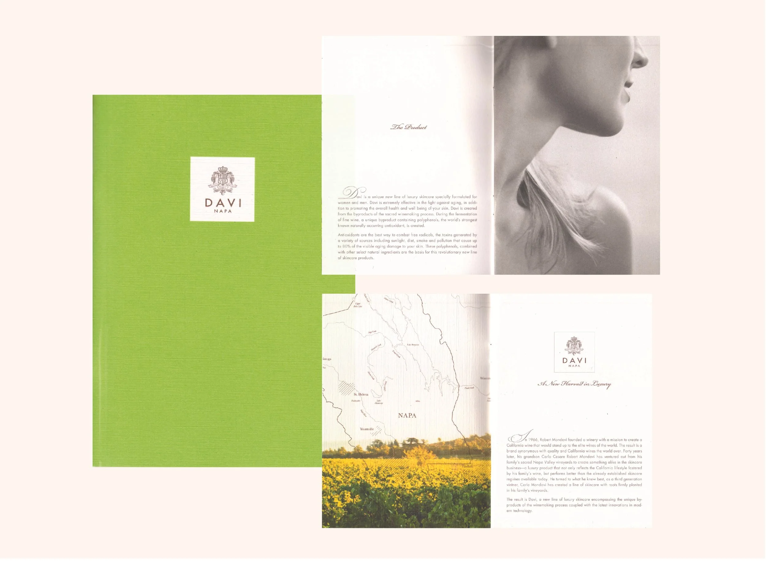 davi_skincarebrochure_cat.jpg