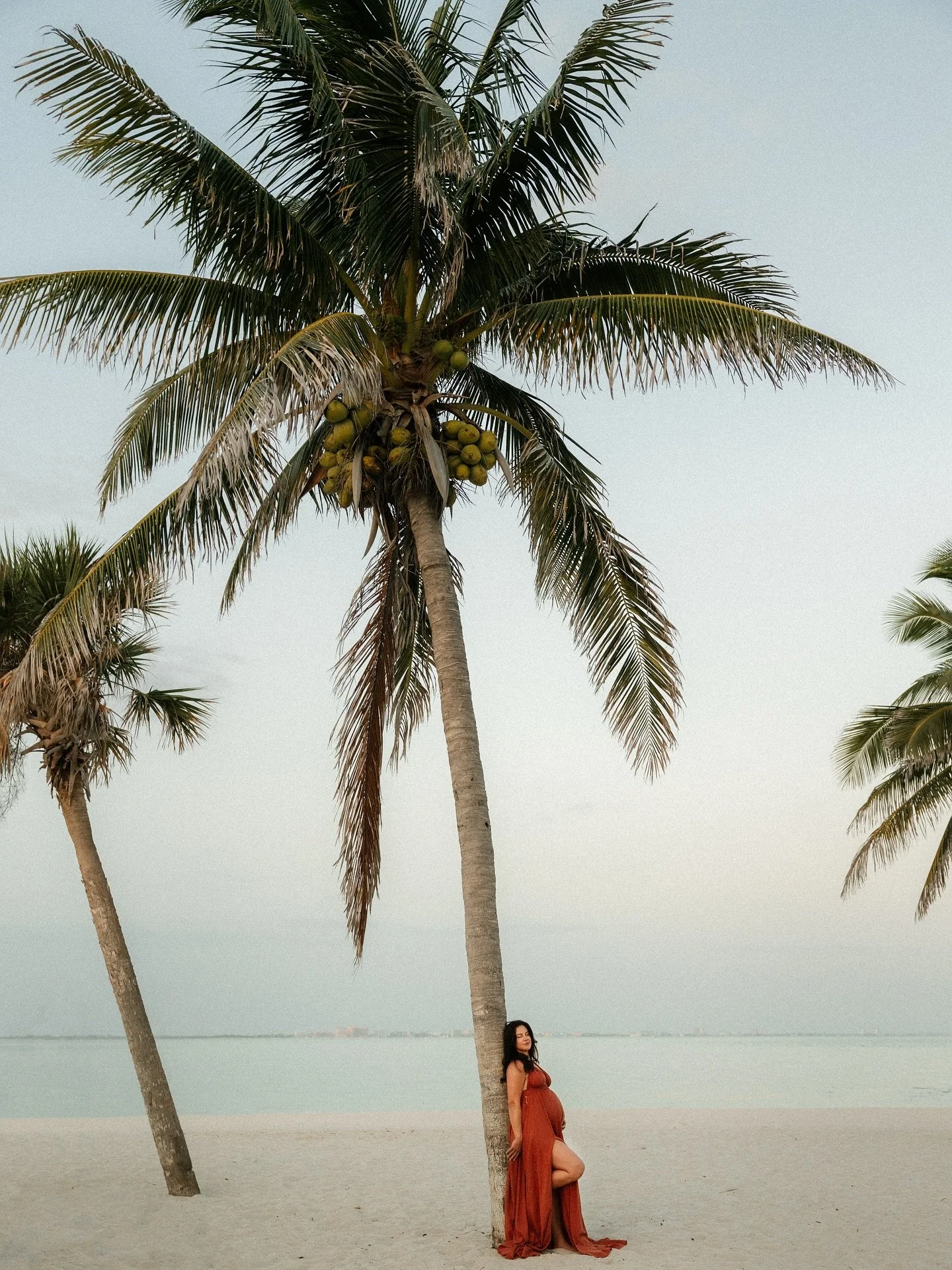 I think I found my new favorite tree, or two 🌴

#fortmyersphotographer #SouthwestFloridaPhotographer #FortMyersMoms #FloridaFamilyPhotographer #naplesphotographer #capecoralphotographer #MaternityPhotographer #NewbornPhotographer #MotherhoodPhotogra
