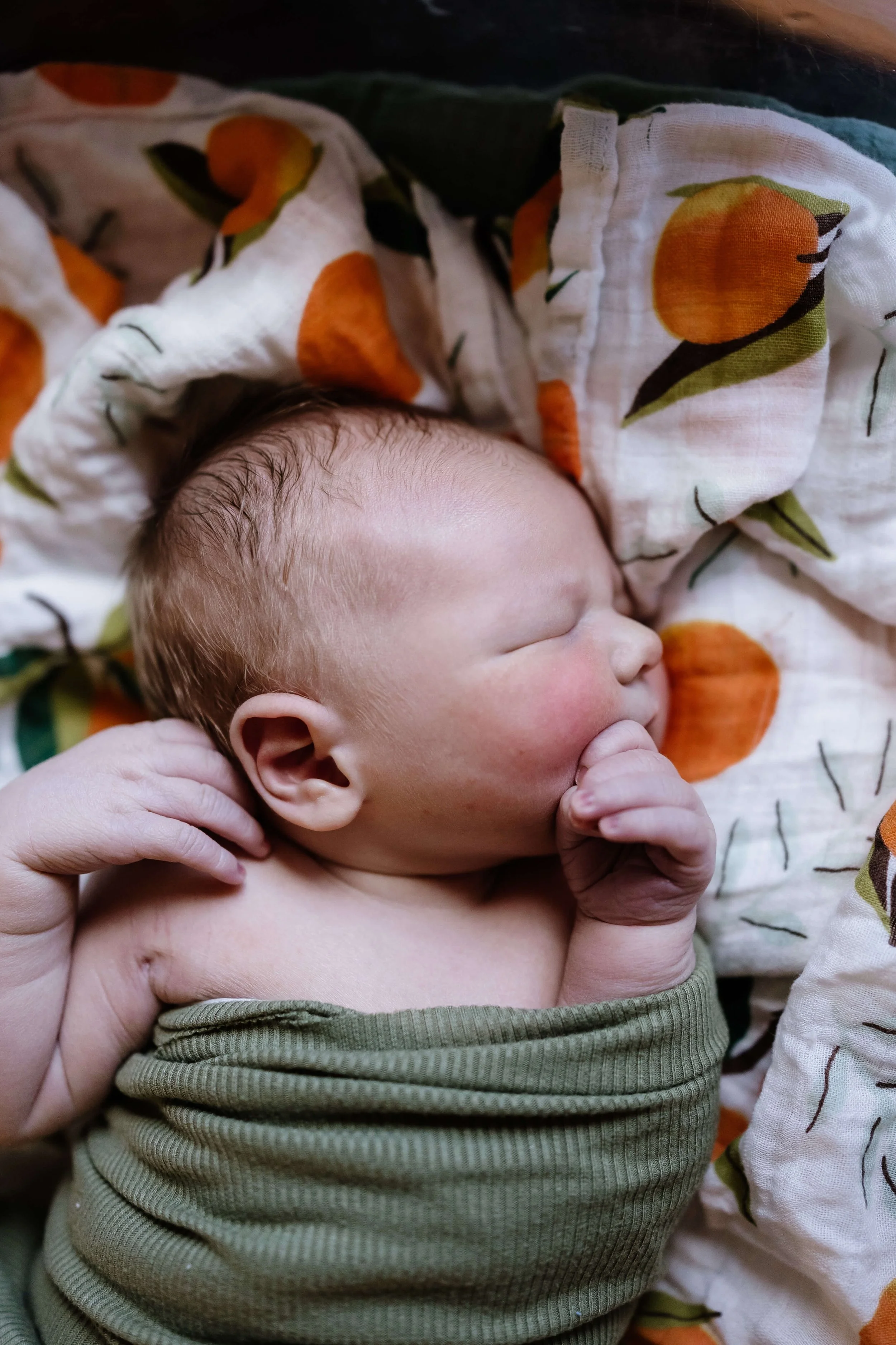 NCH naples hospital fresh 48 newborn photographer new baby swaddled