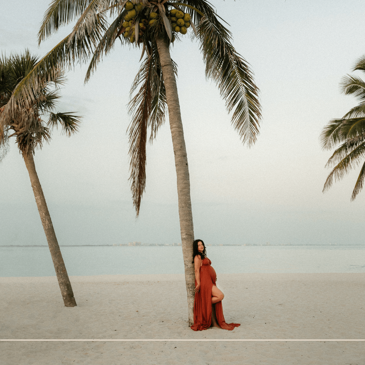 pregnant mom leaning on a palm tree on sanibel island for maternity photos