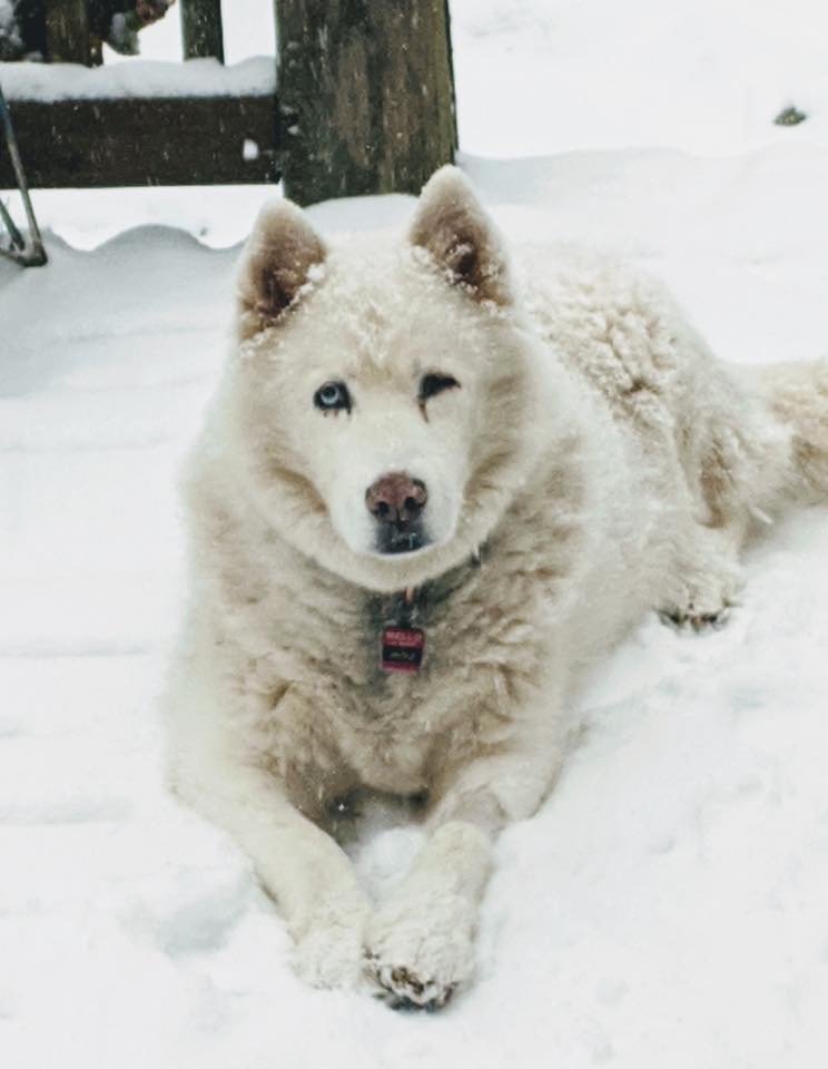 2/27/20 Miya