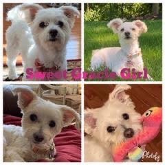 12/28/20 Gracie