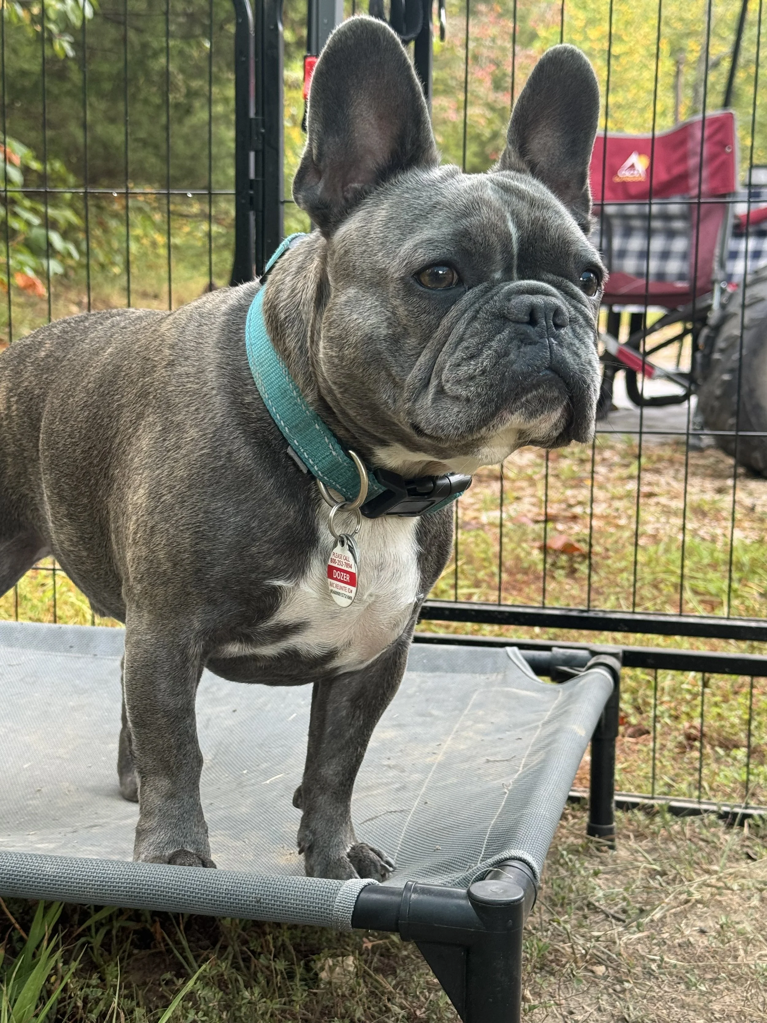 4/7/26 Dozer