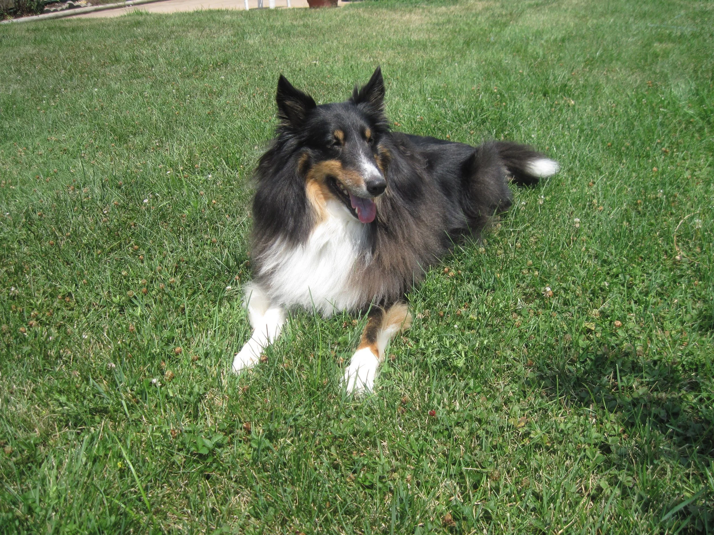 5/28/26 Cody