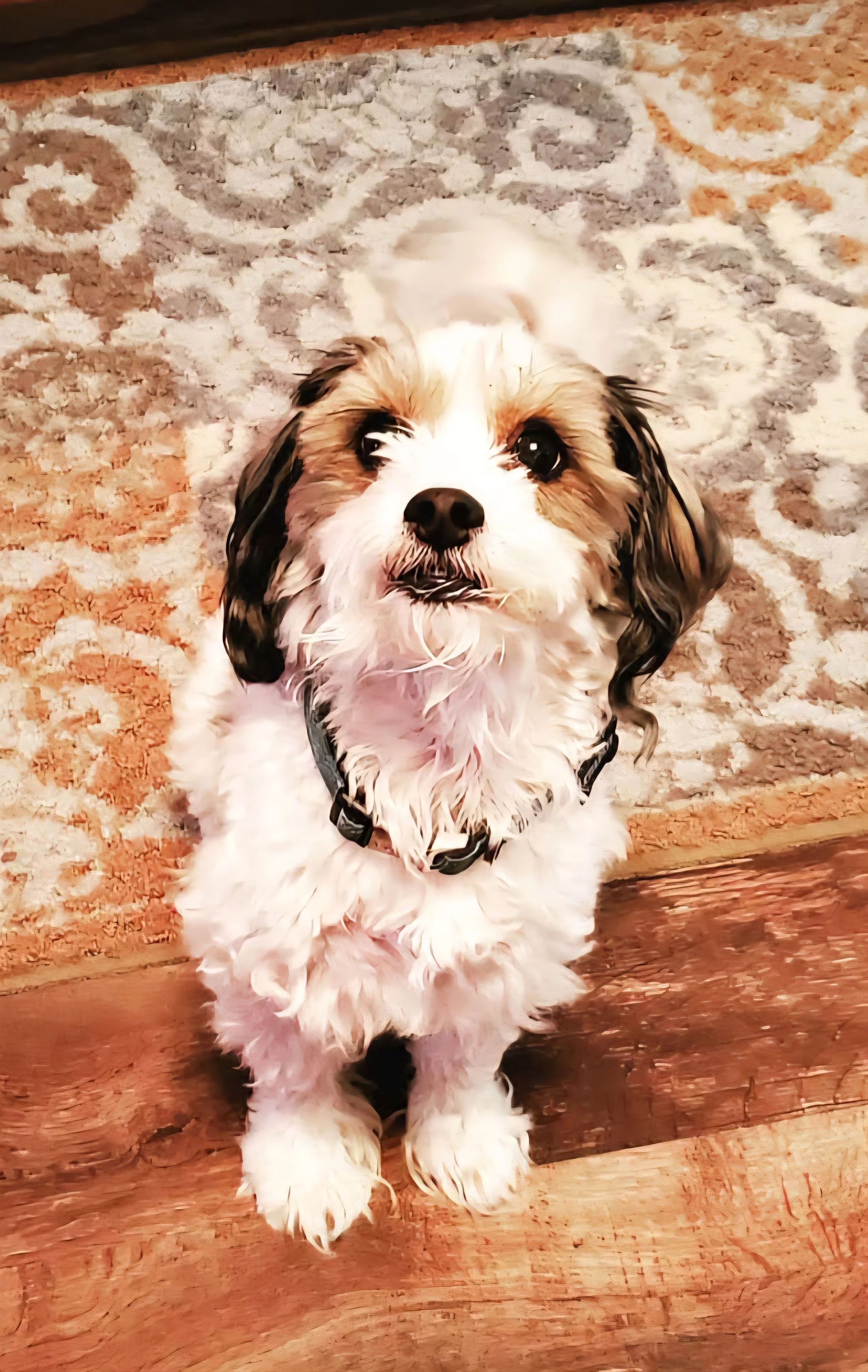 8/11/25 Charlie
