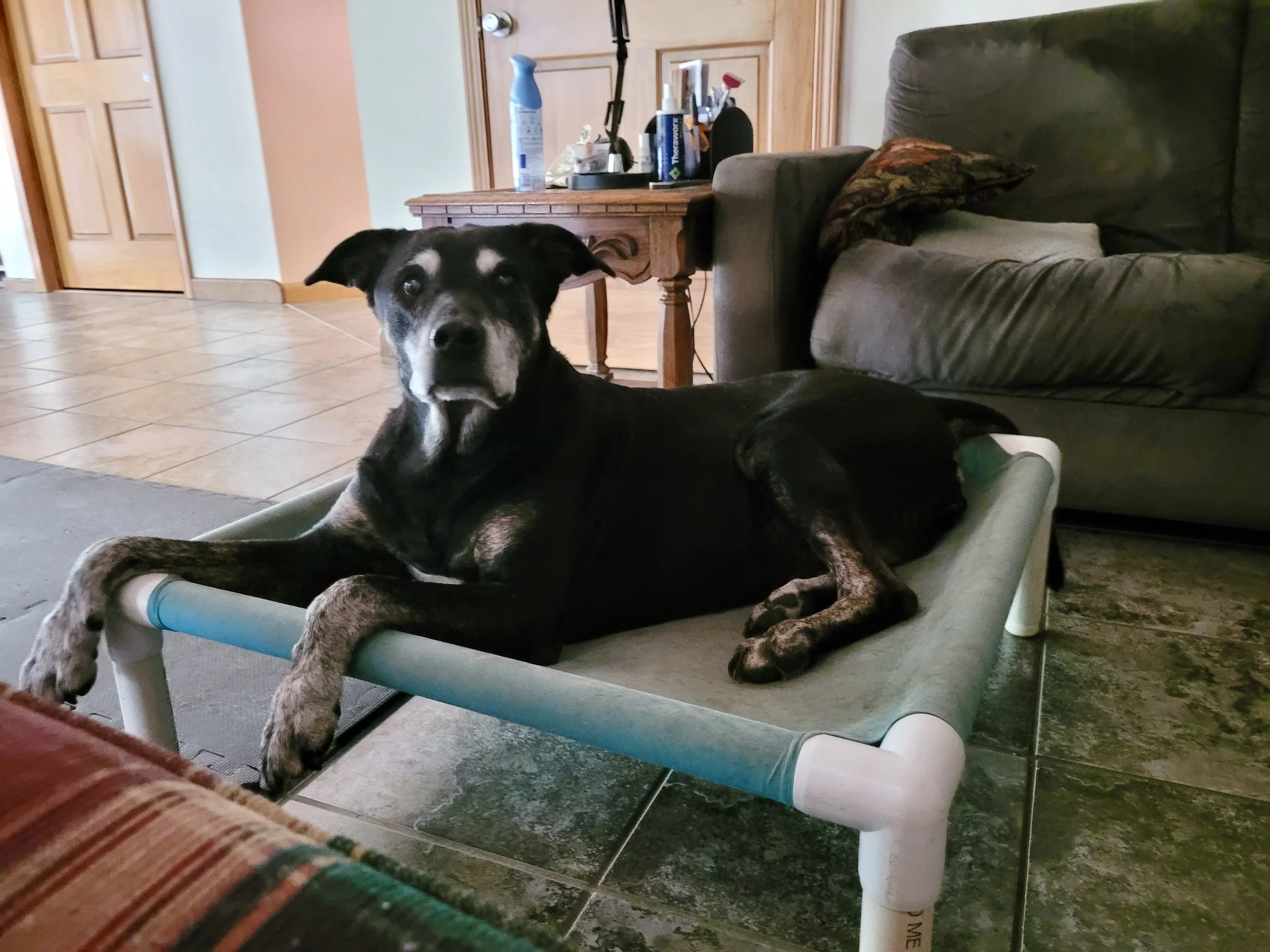 7/10/25 Gracie
