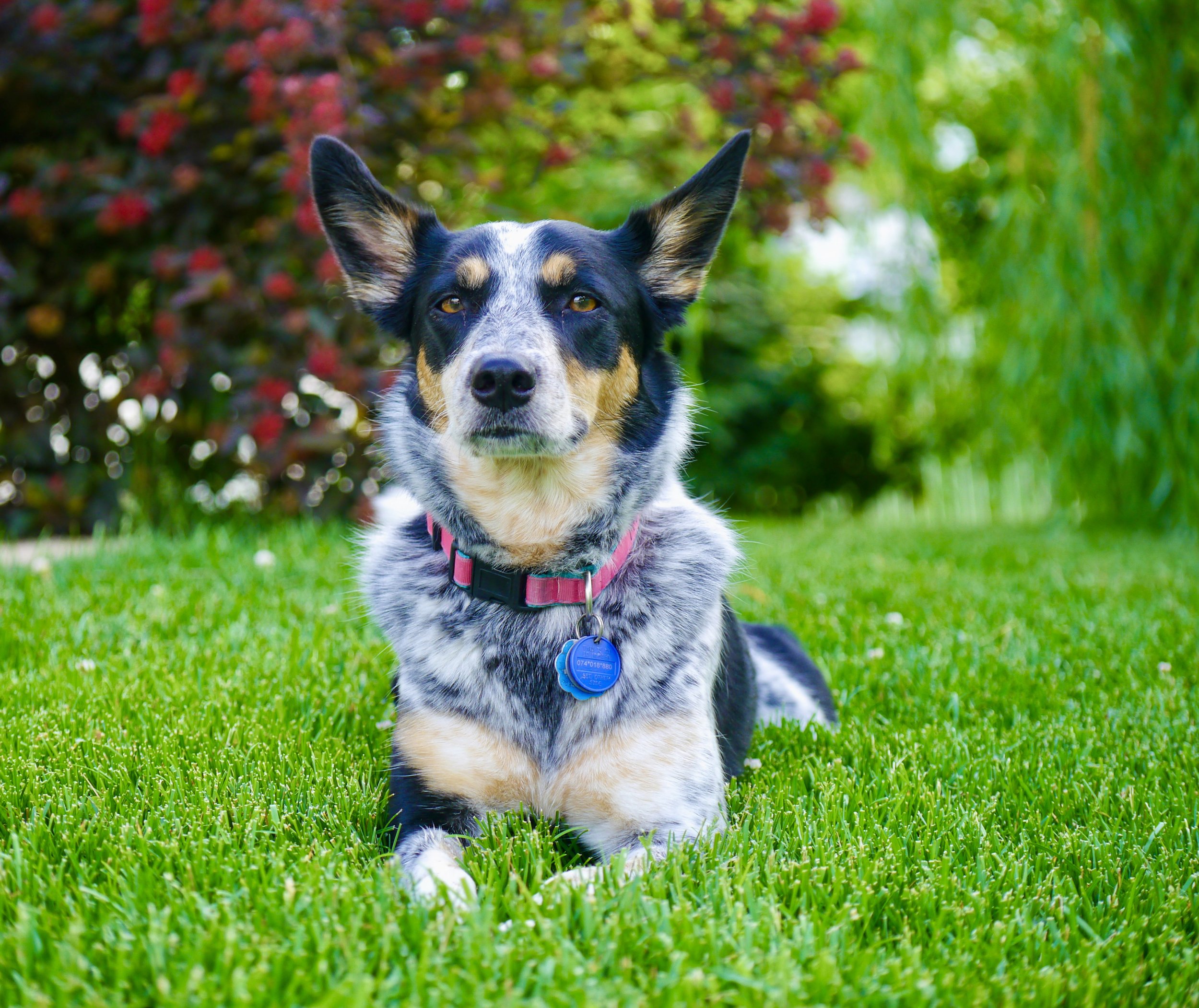 7/27/26 Maggie