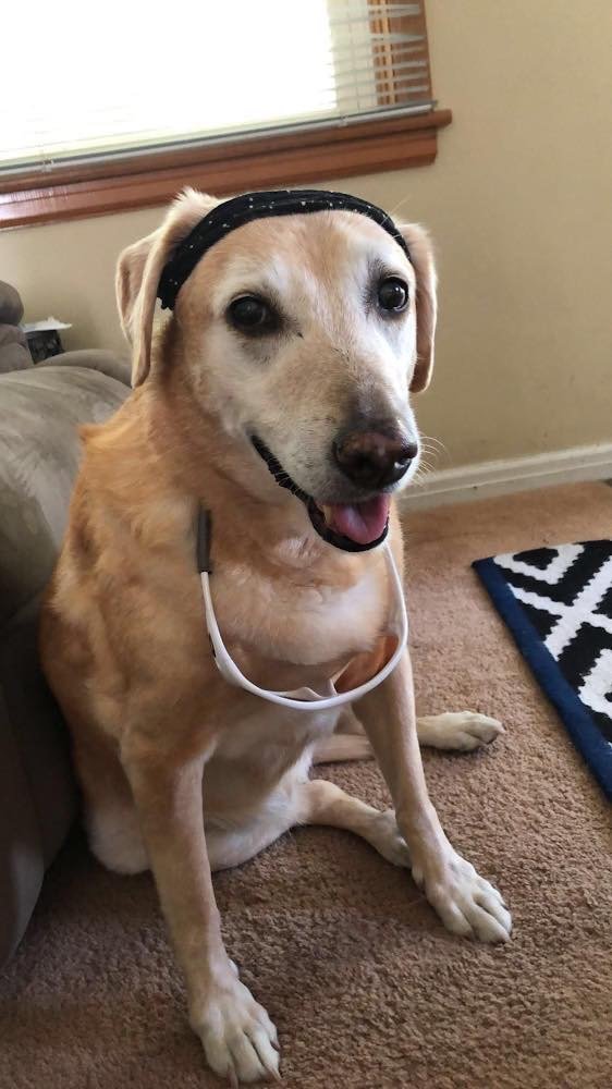10/14/20 Daisy Mae